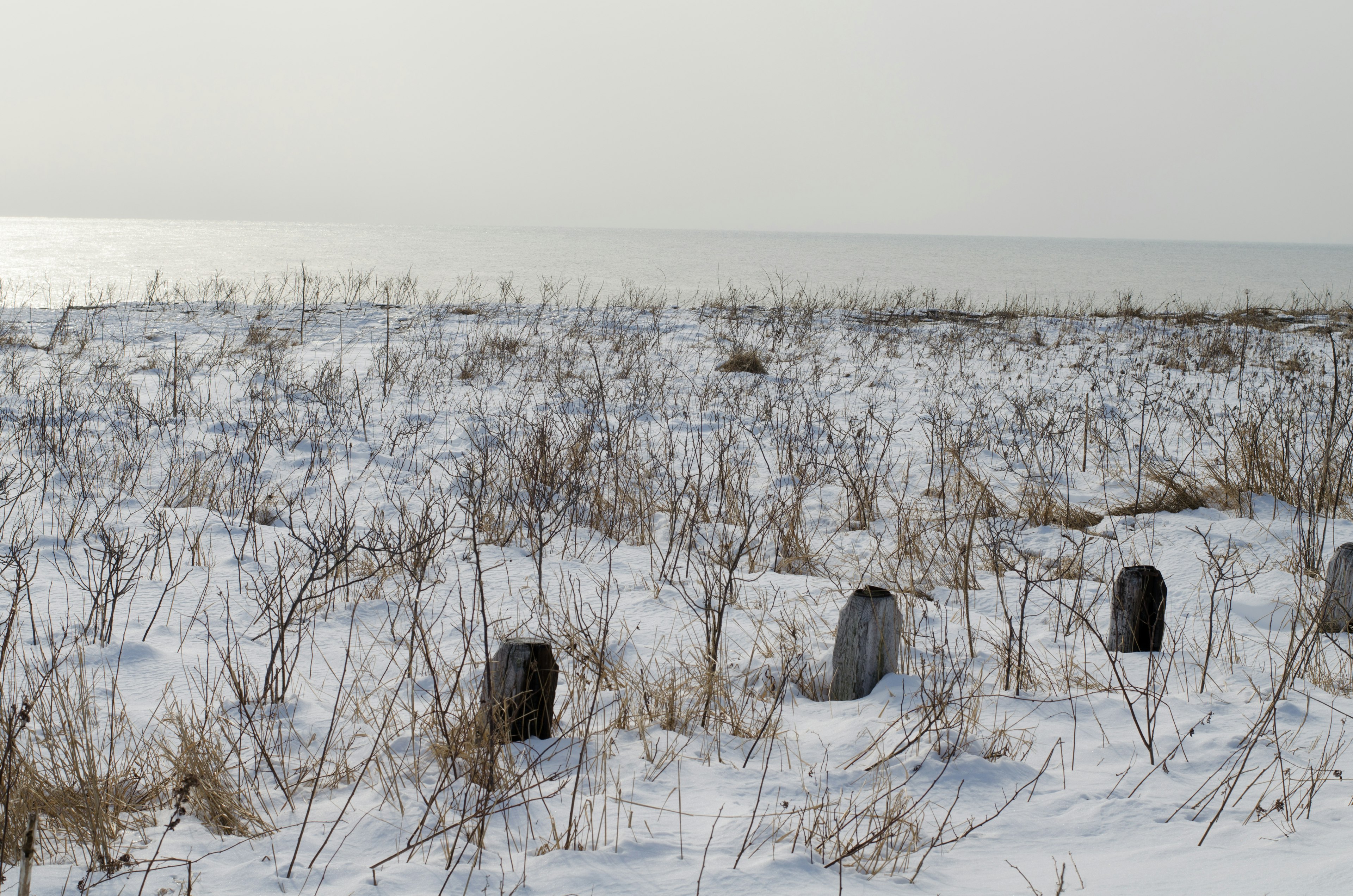 Snow-covered grassland with a calm sea in the background