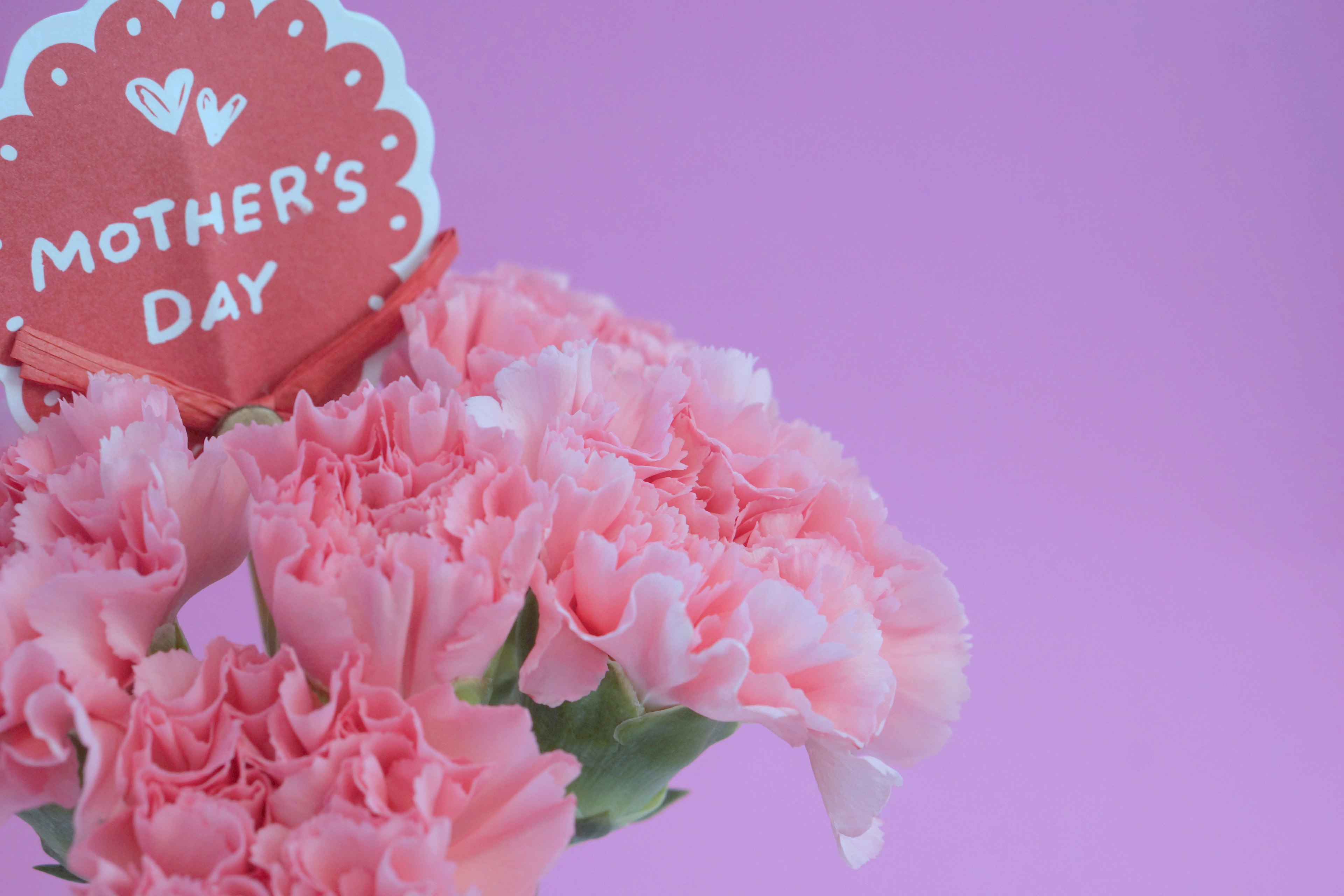 A bouquet of pink carnations with a Mother's Day card