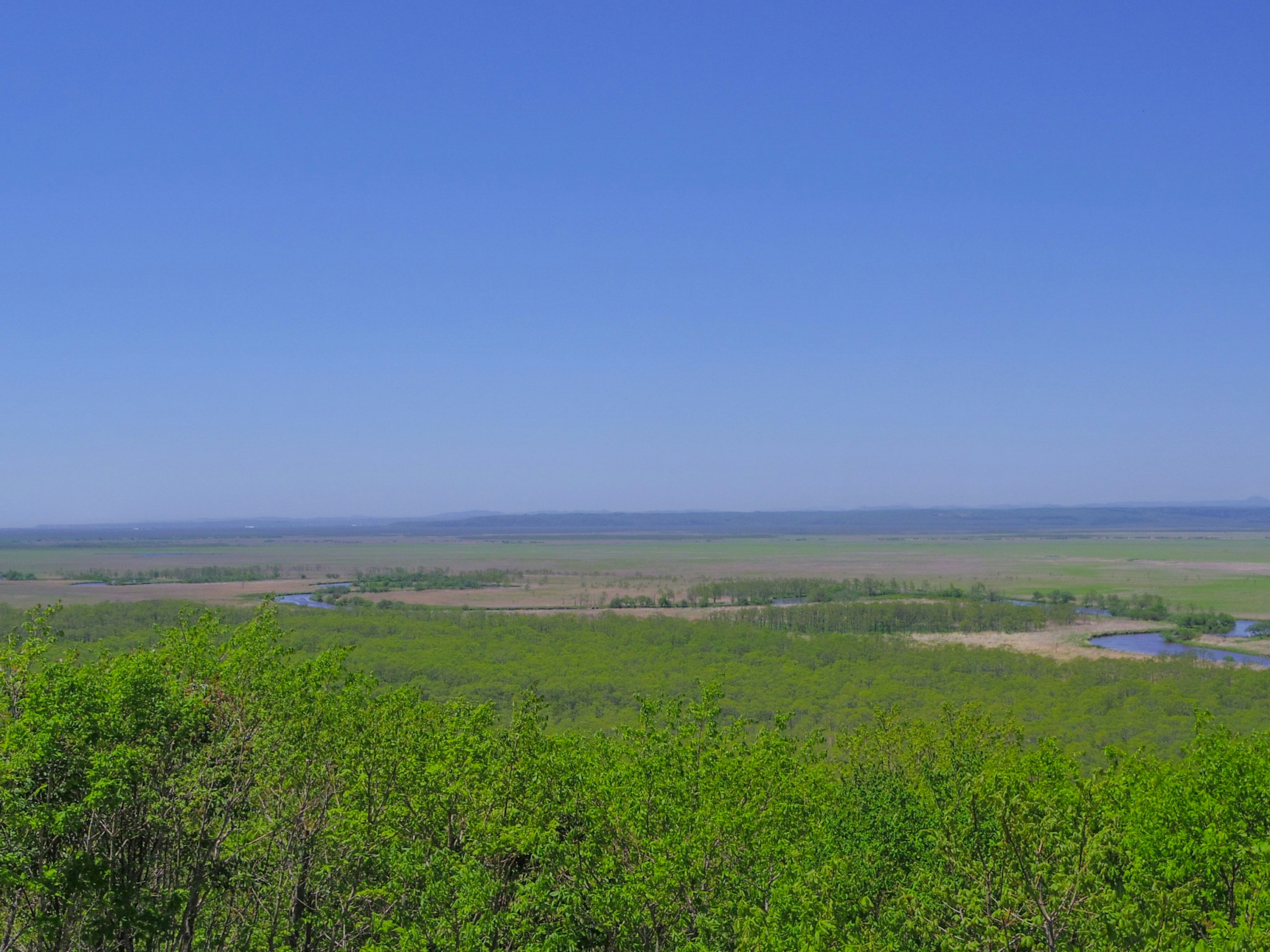 Vaste paysage verdoyant sous un ciel bleu clair