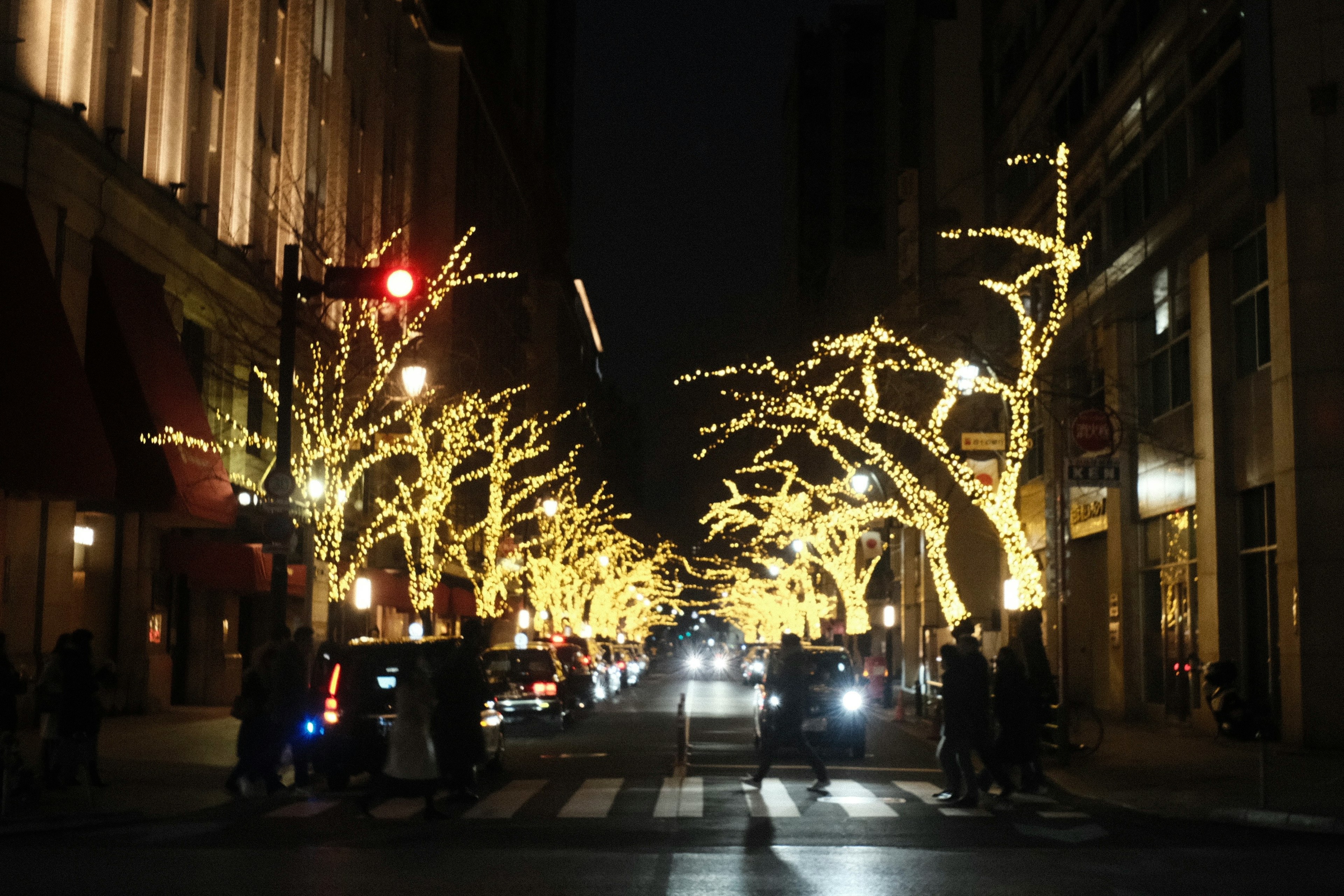 夜の街並みに輝くイルミネーションの木々と交差点