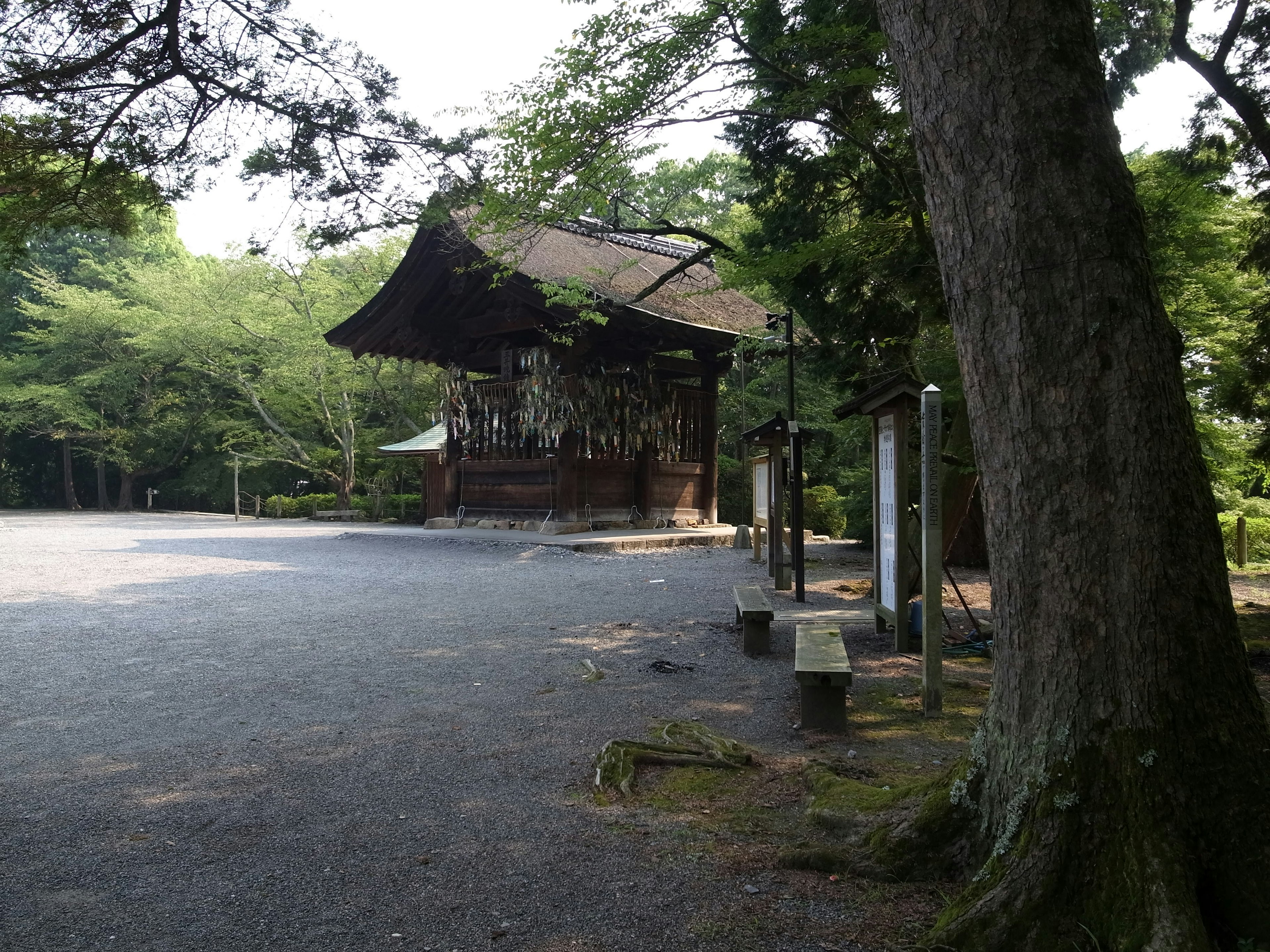 一座古老的神社建筑，周围环绕着宁静的森林和树木