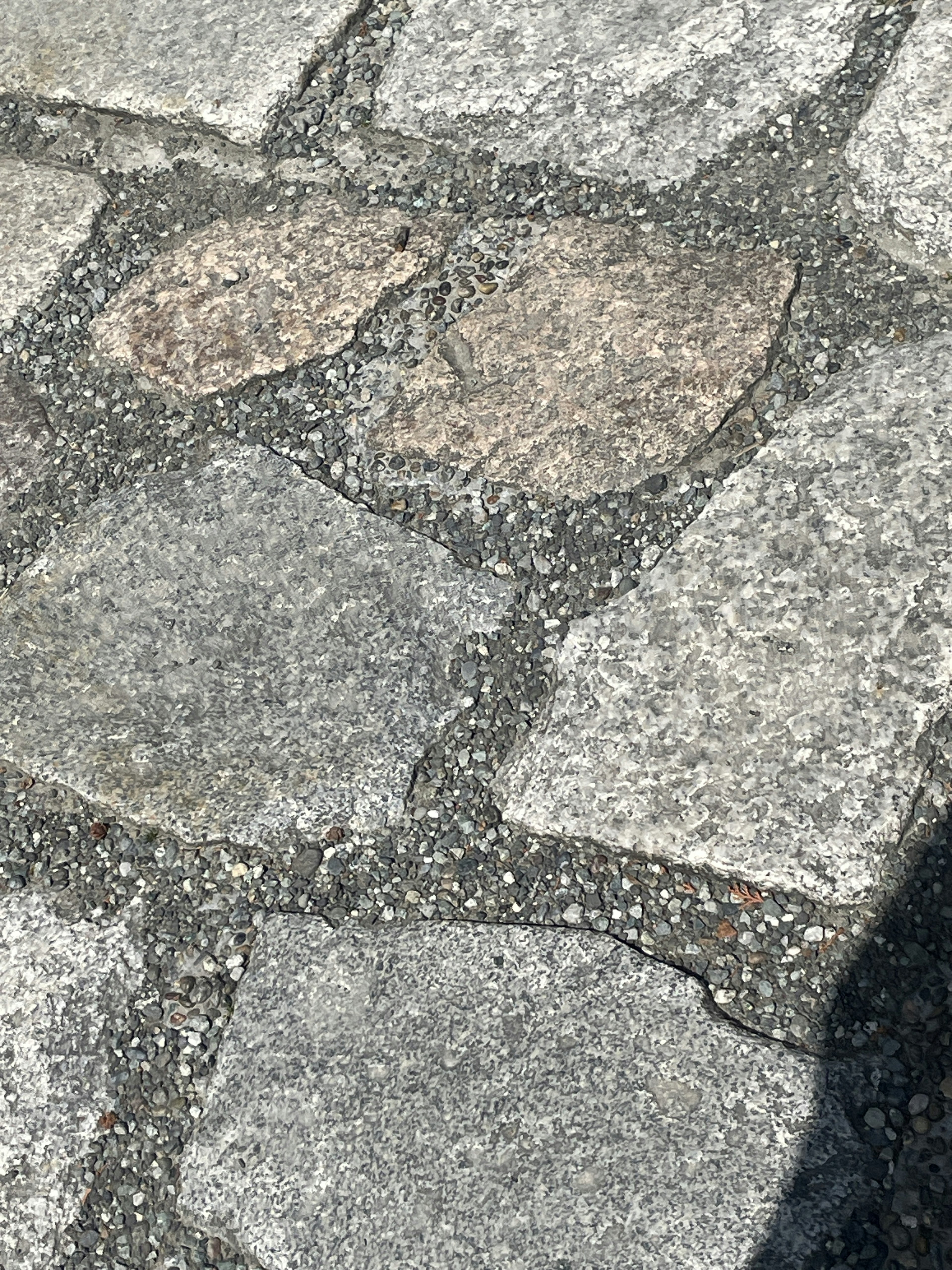 Close-up of a textured stone pavement with a unique pattern