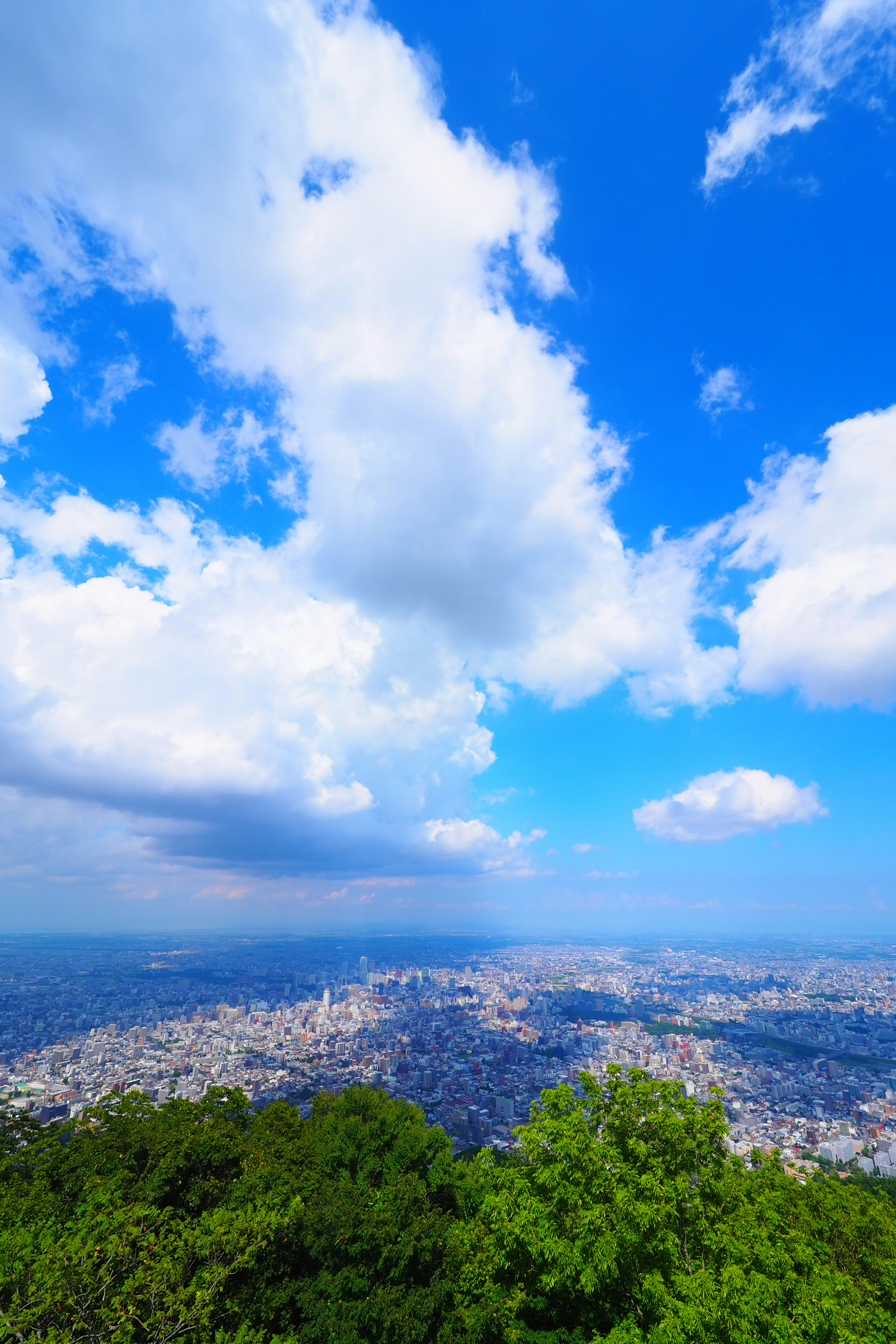 Pemandangan panorama kota di bawah langit biru dengan awan berbulu pohon hijau di latar depan