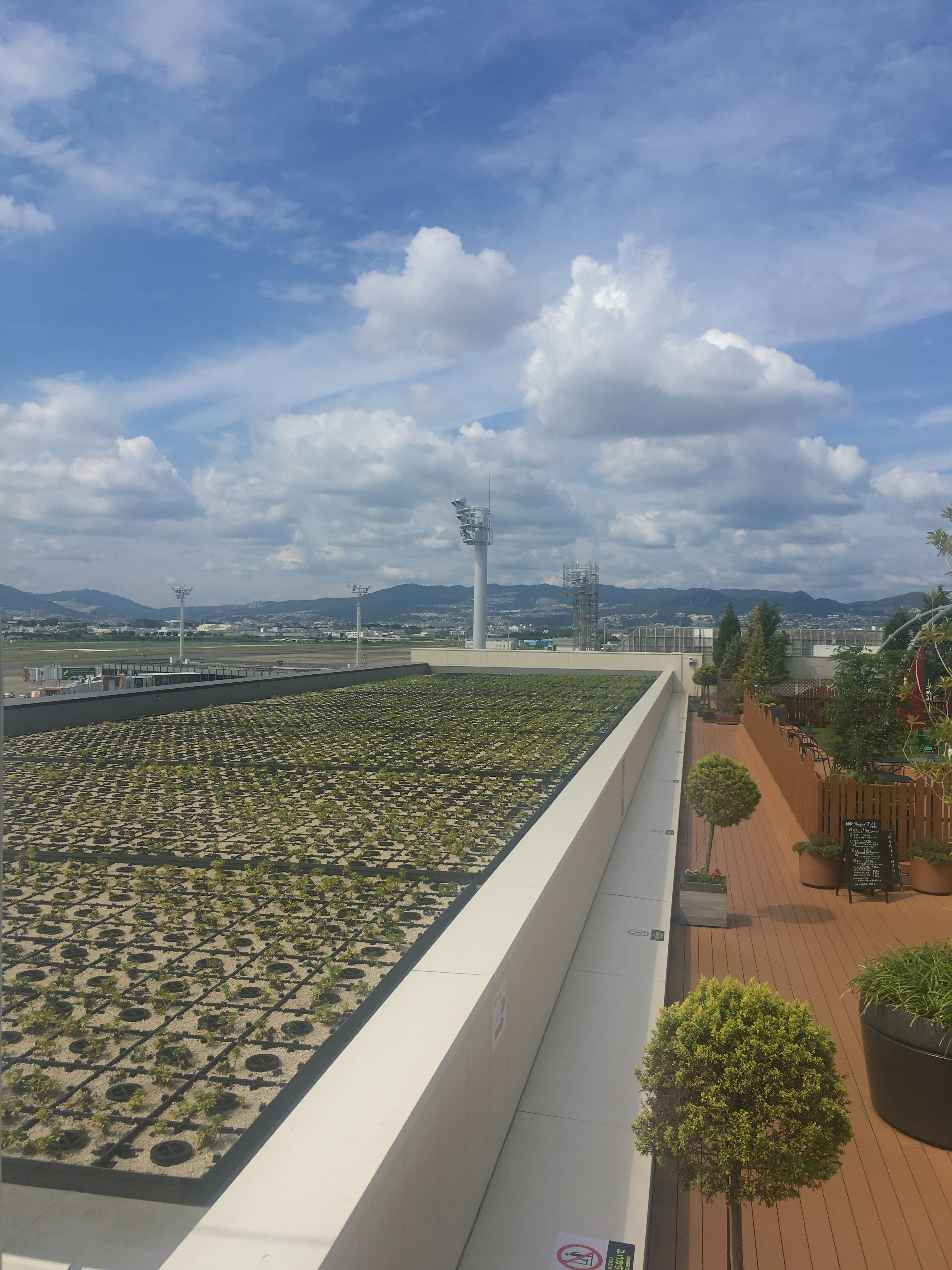 Jardin sur le toit avec des plantes vertes et un ciel bleu