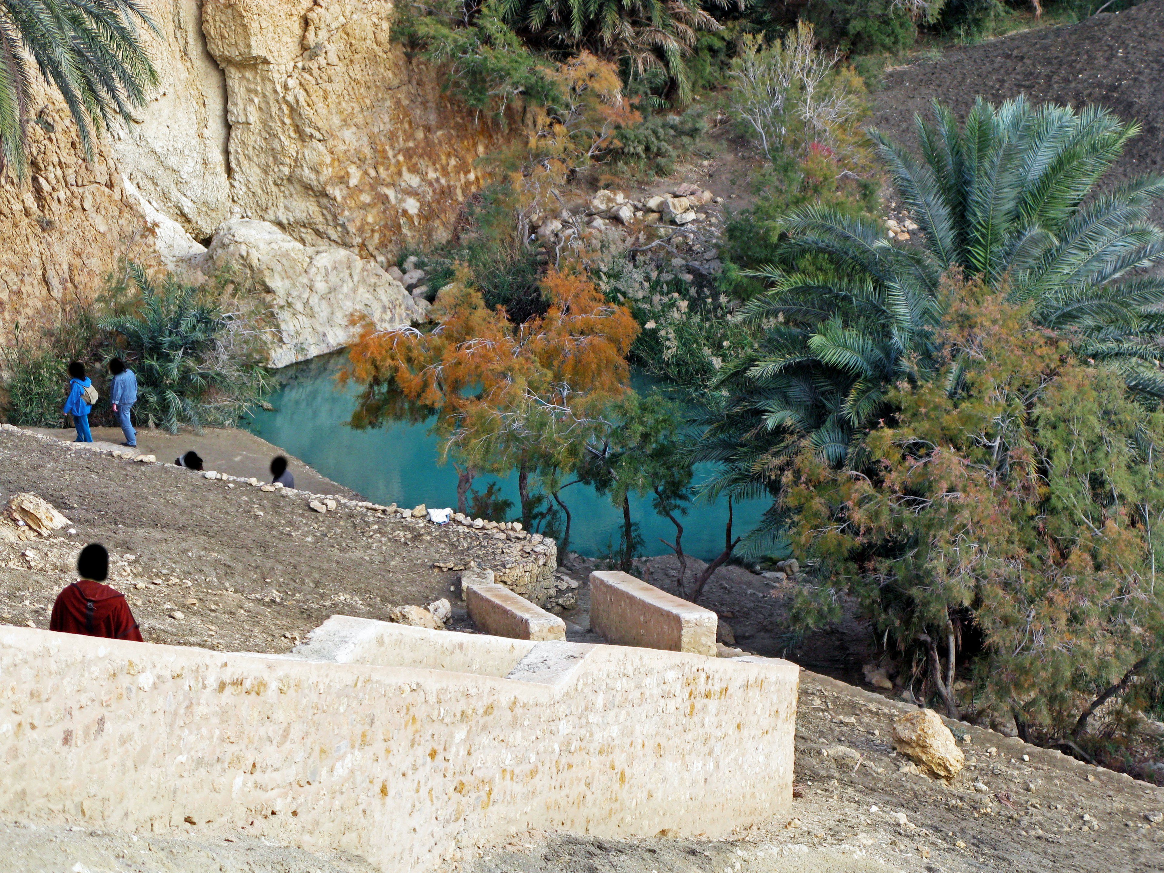 Scenic view of a blue pond surrounded by green trees and people