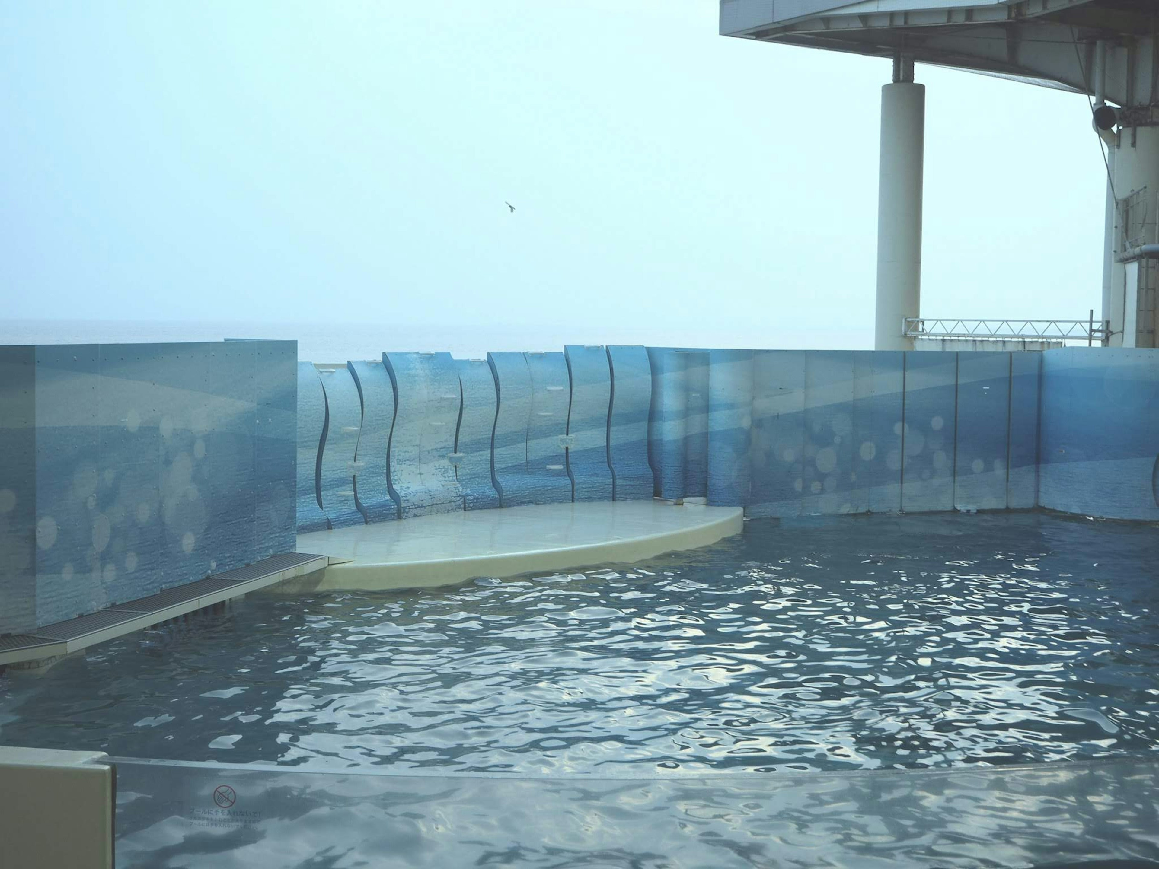 水面が静かな水槽と青い背景の風景