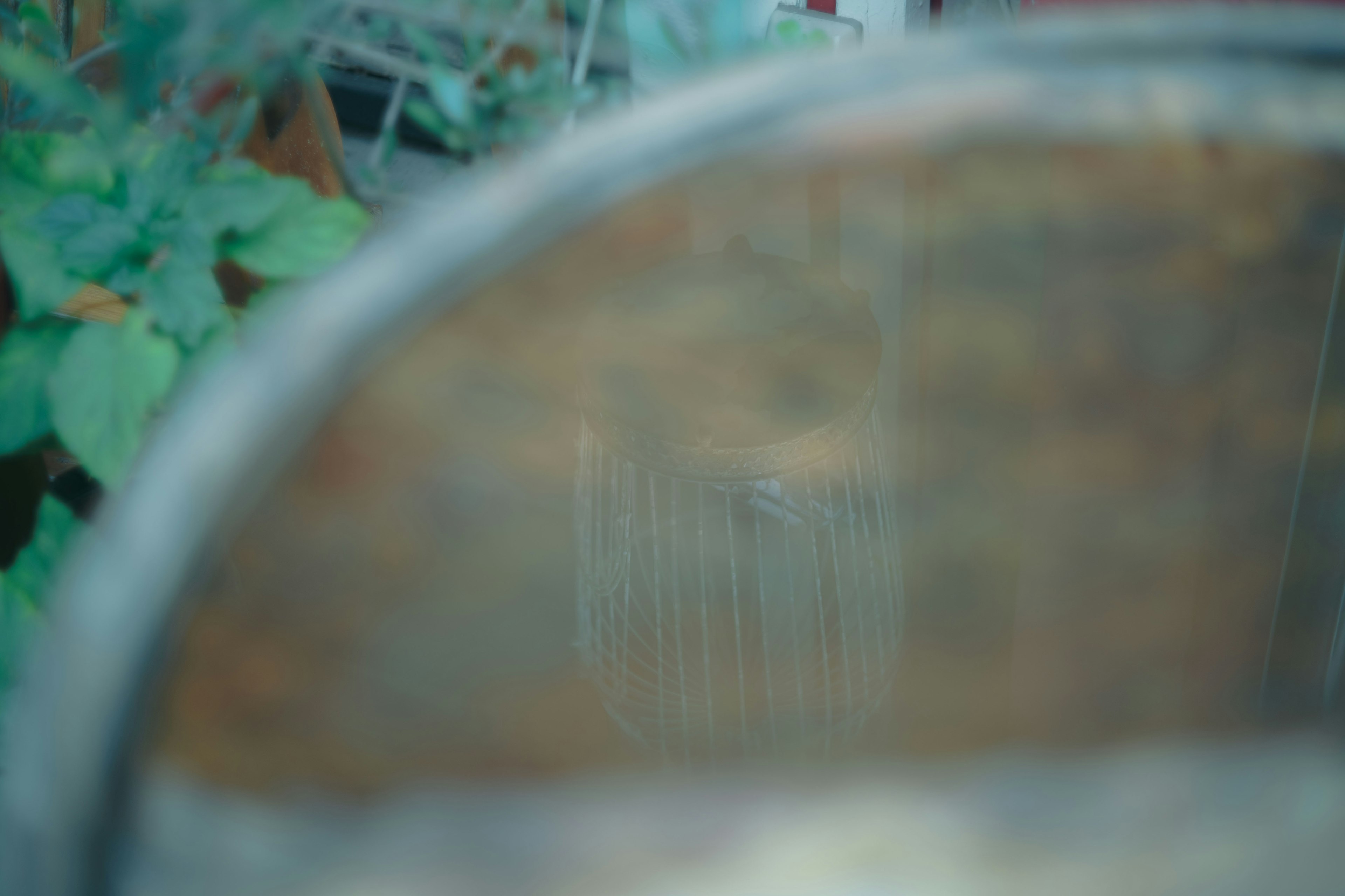 Blurry view of the inside of a wooden bucket with green plants visible