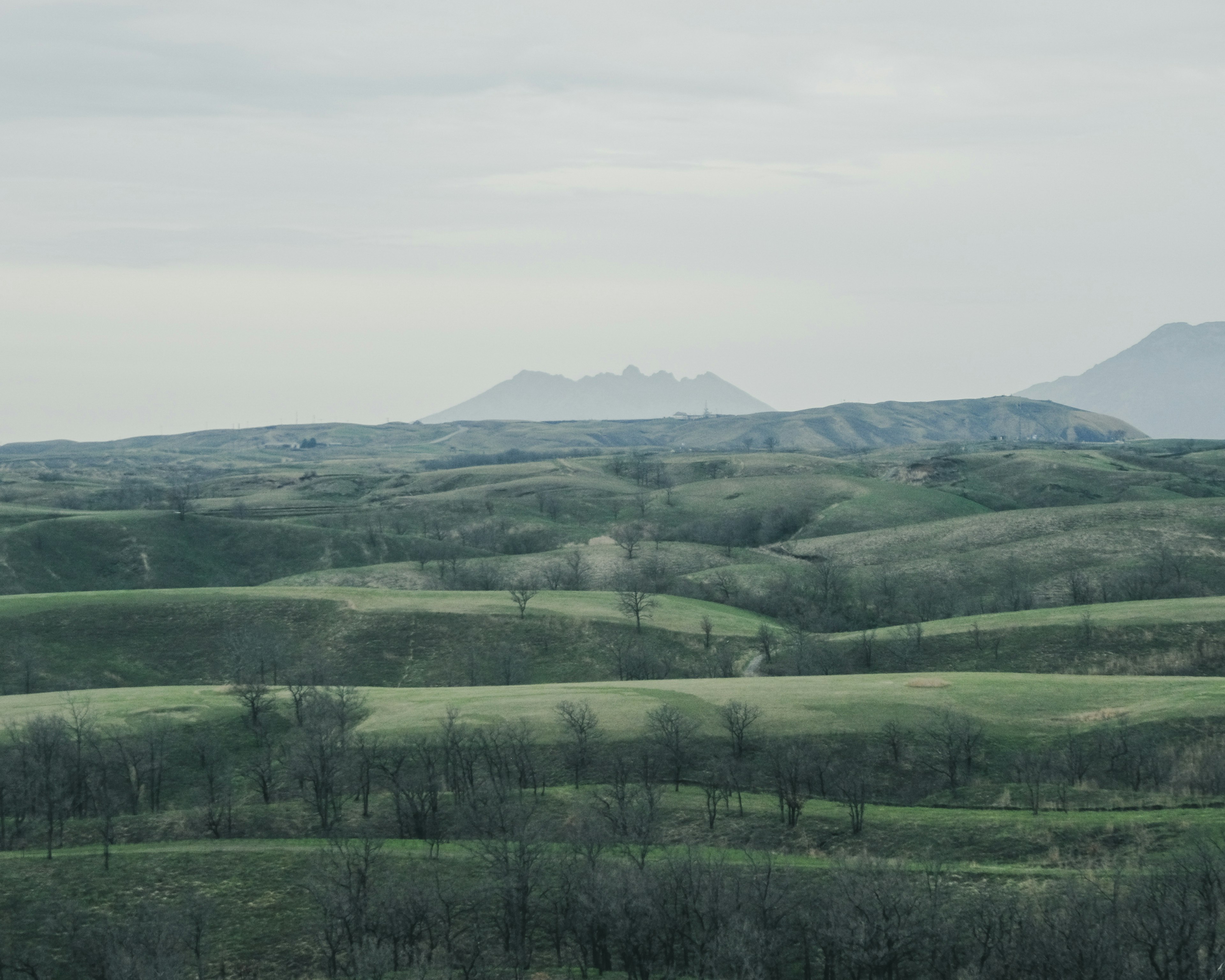 緑に覆われた丘陵と遠くの山々が広がる風景