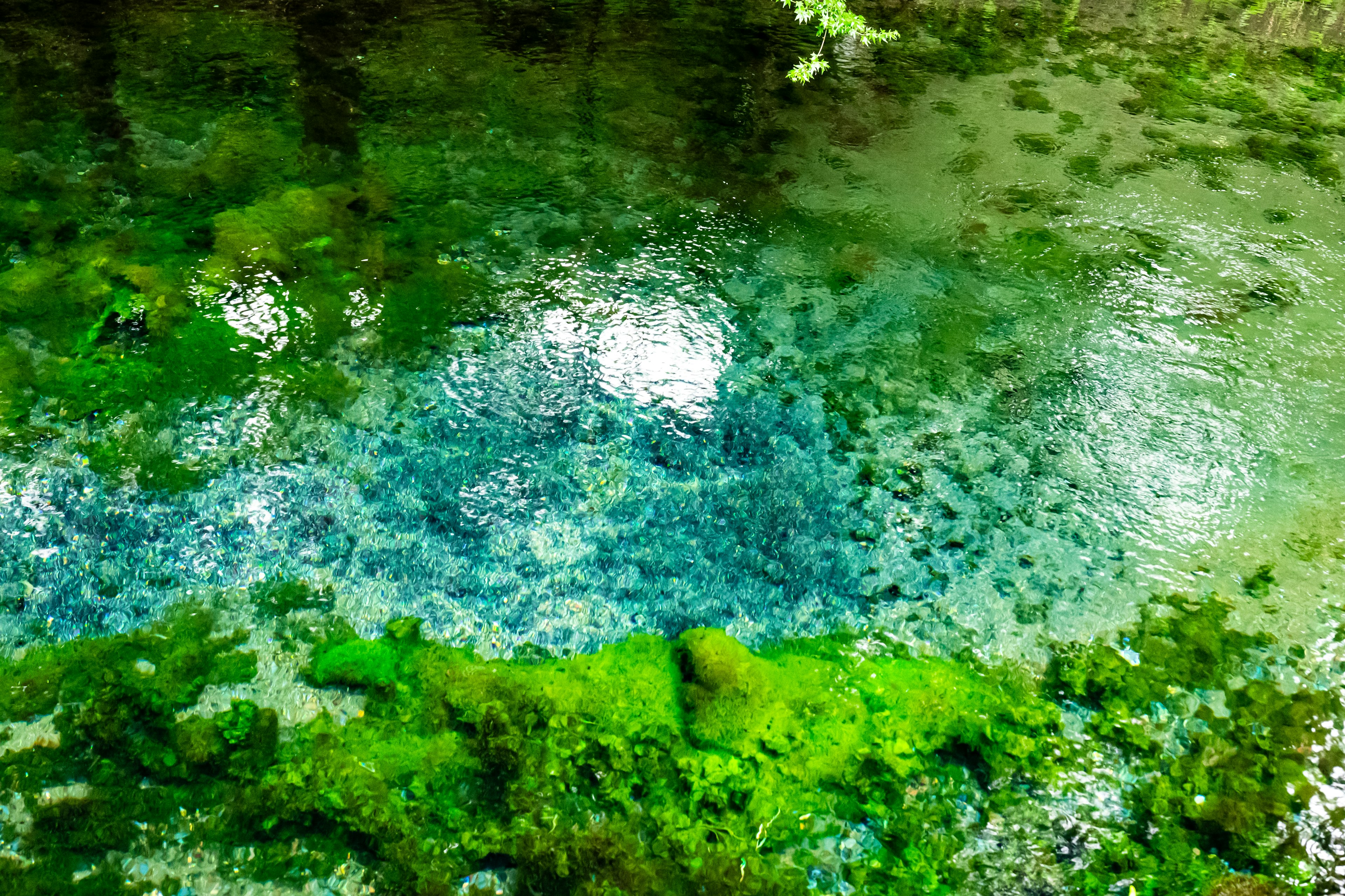 Source naturelle entourée d'eau bleue et de mousse verte