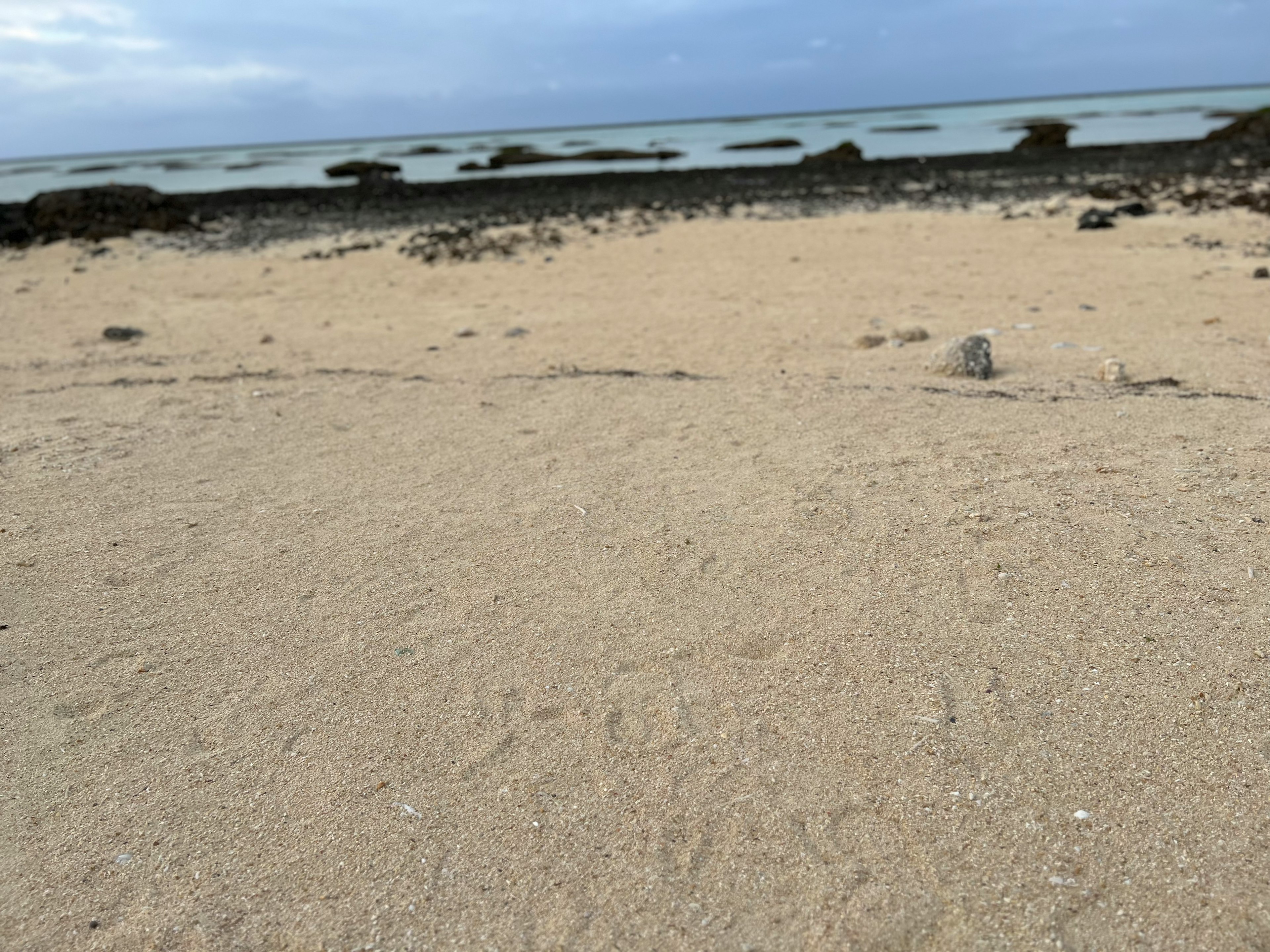 砂浜と海が広がる景色で曇り空が見える