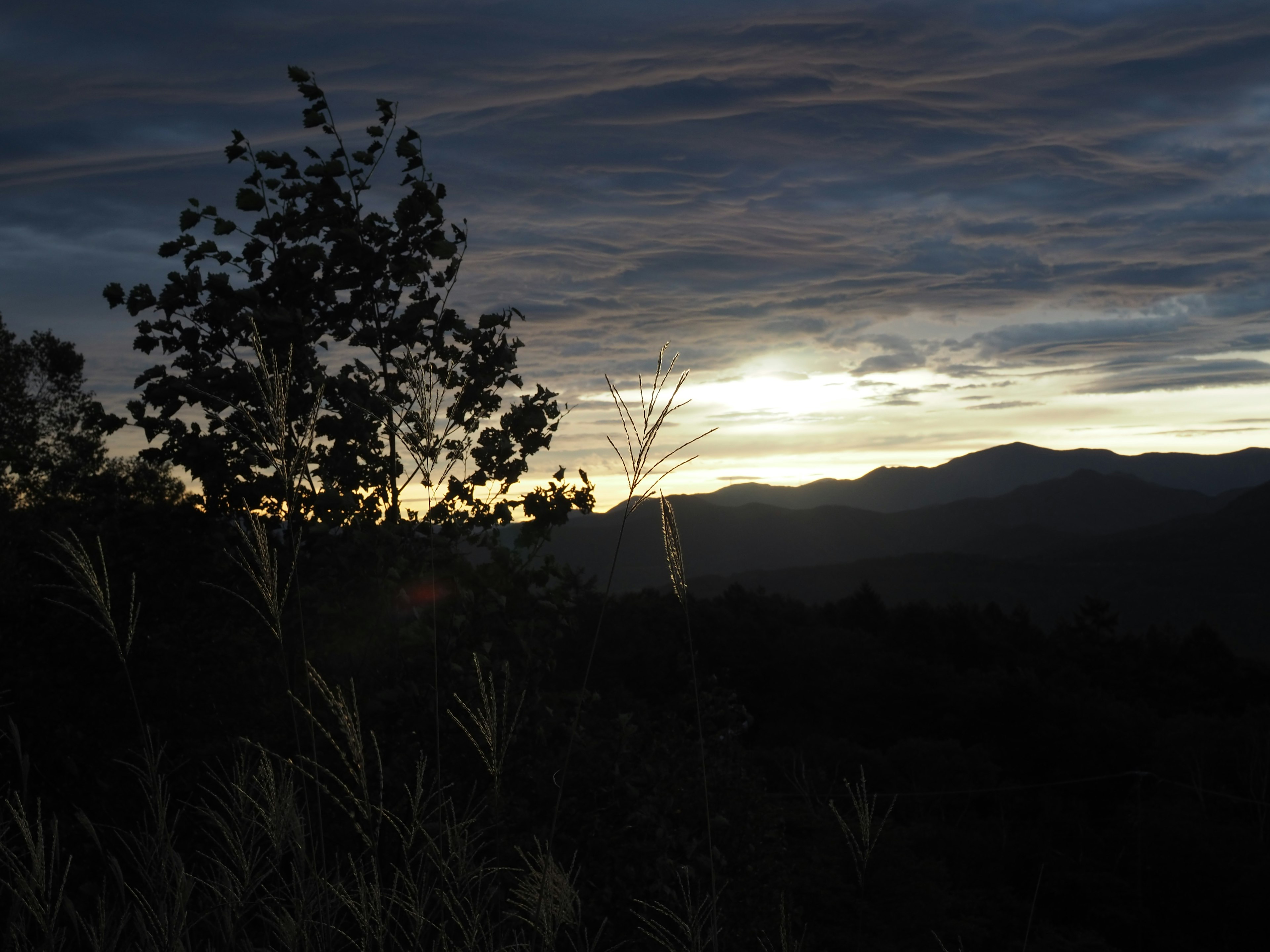 夕日が山々の間に沈む風景とシルエットの木々