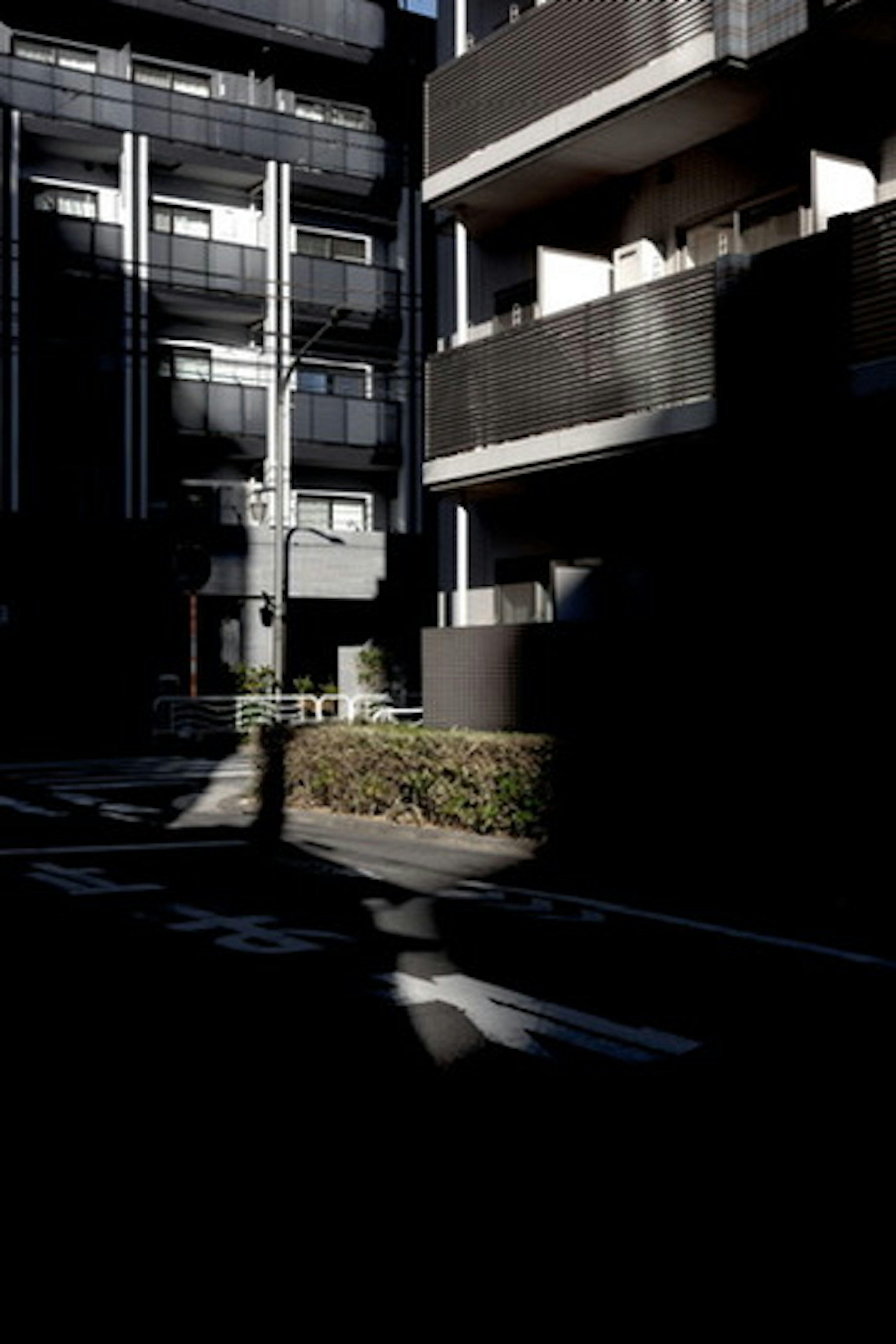 Dark street scene with buildings and greenery