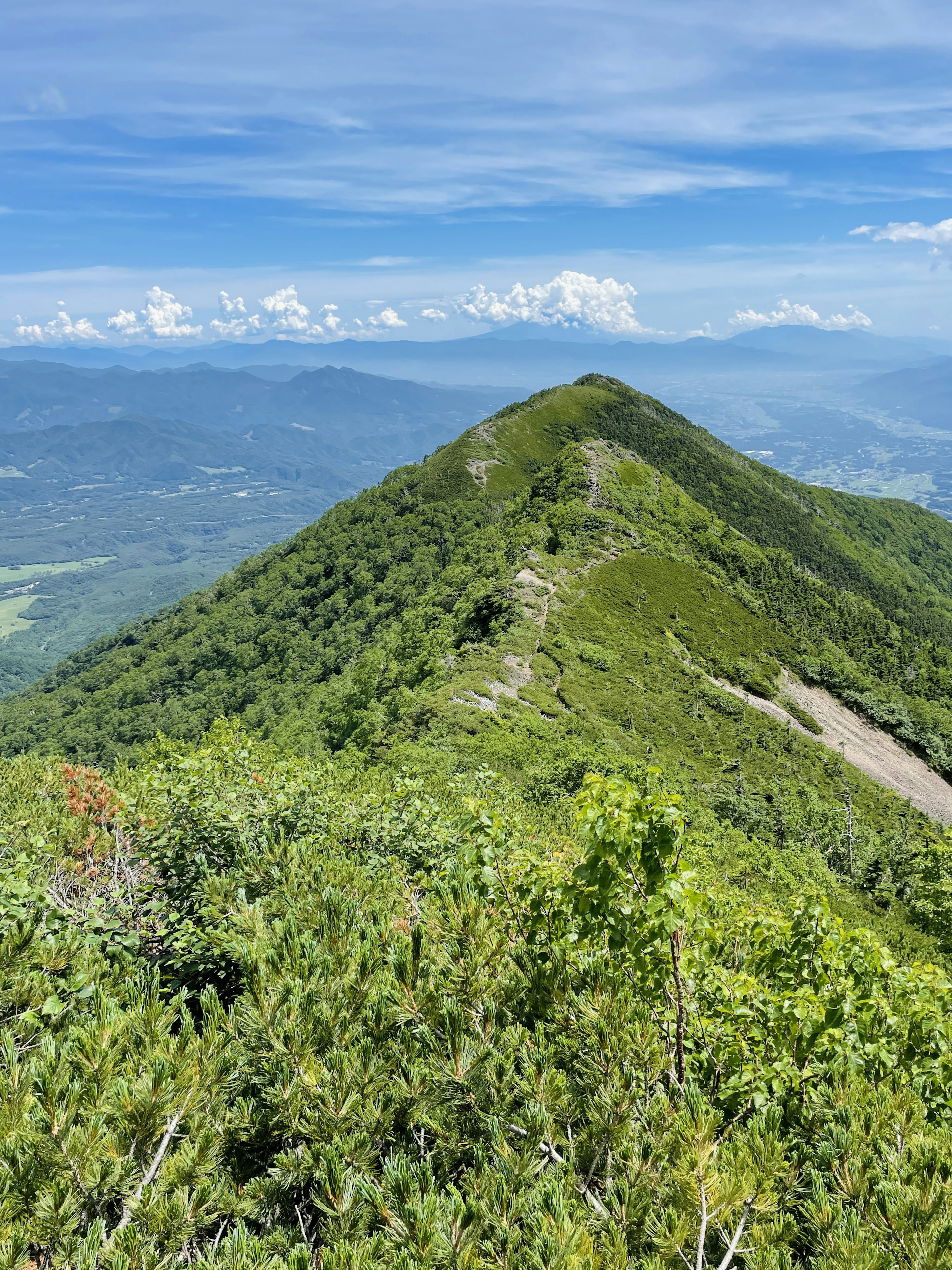 Una bella vista panoramica dalla cima di una montagna verde