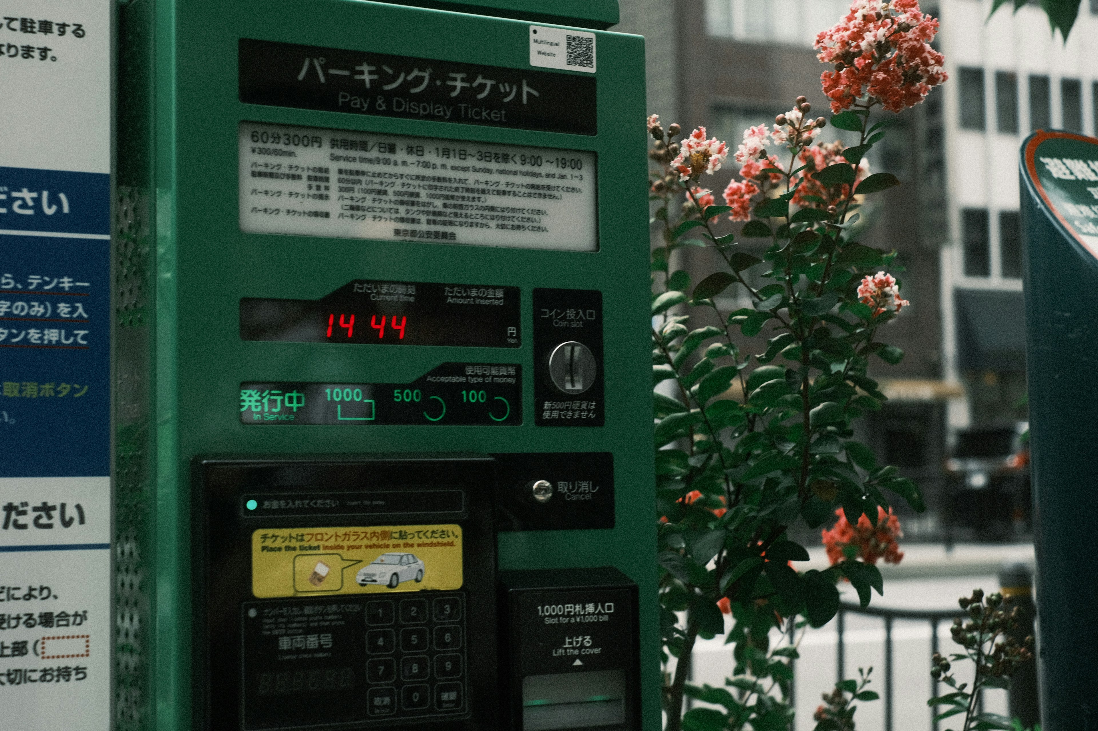 Machine à ticket de stationnement entourée de fleurs dans une scène urbaine