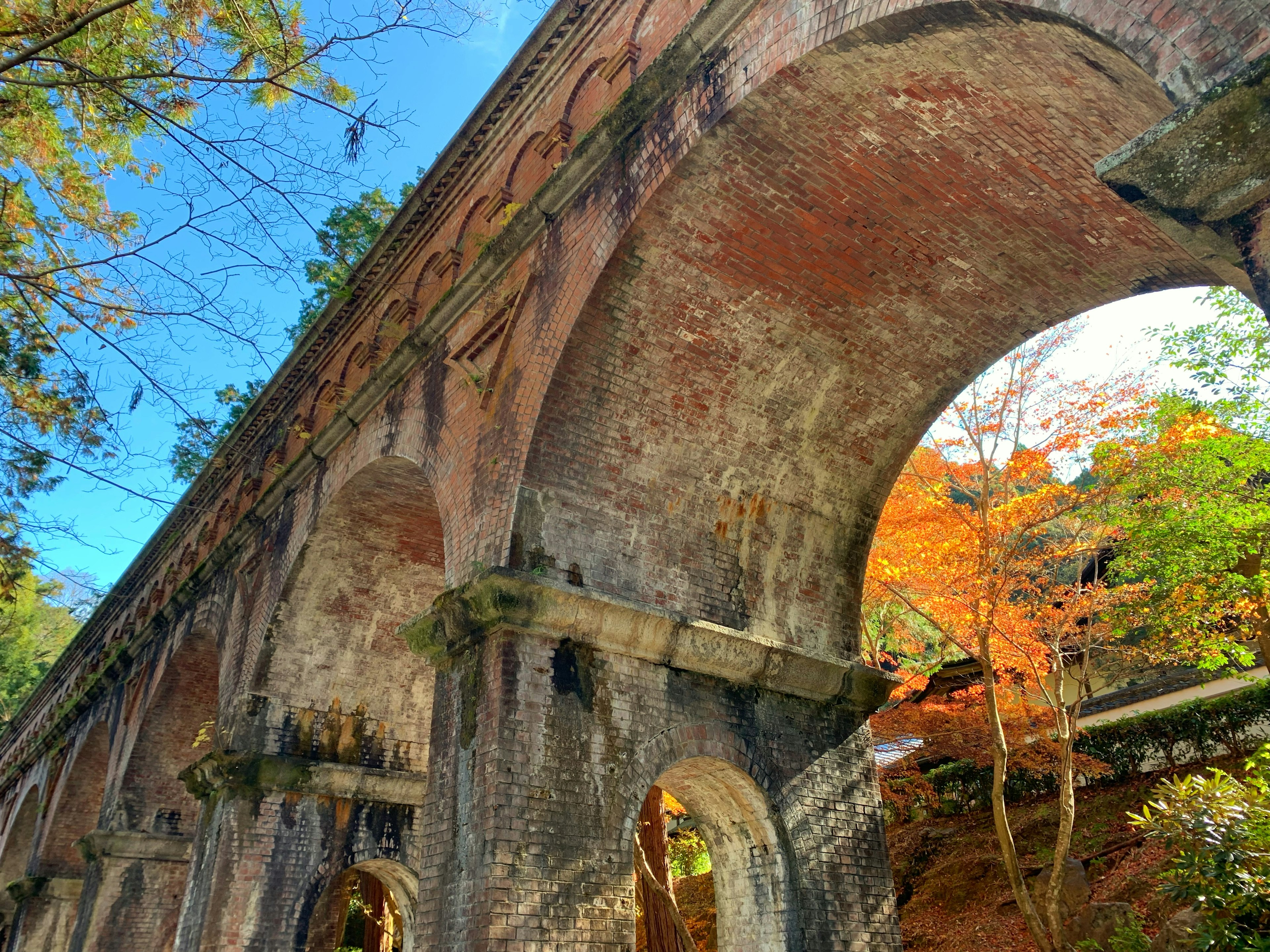 Puente antiguo de arco rodeado de árboles verdes bajo un cielo azul