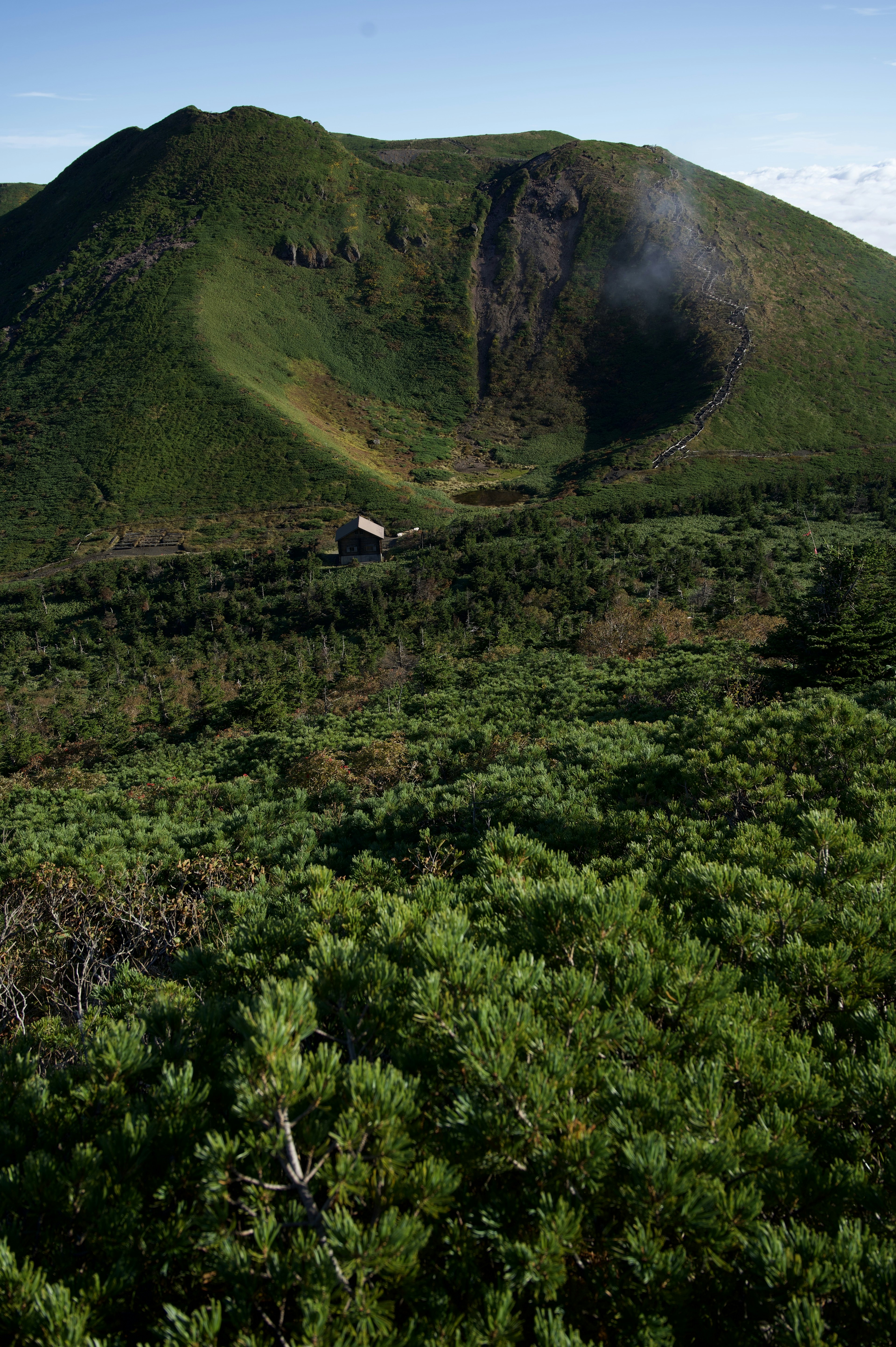 緑の植物に囲まれた火山の景色と小屋