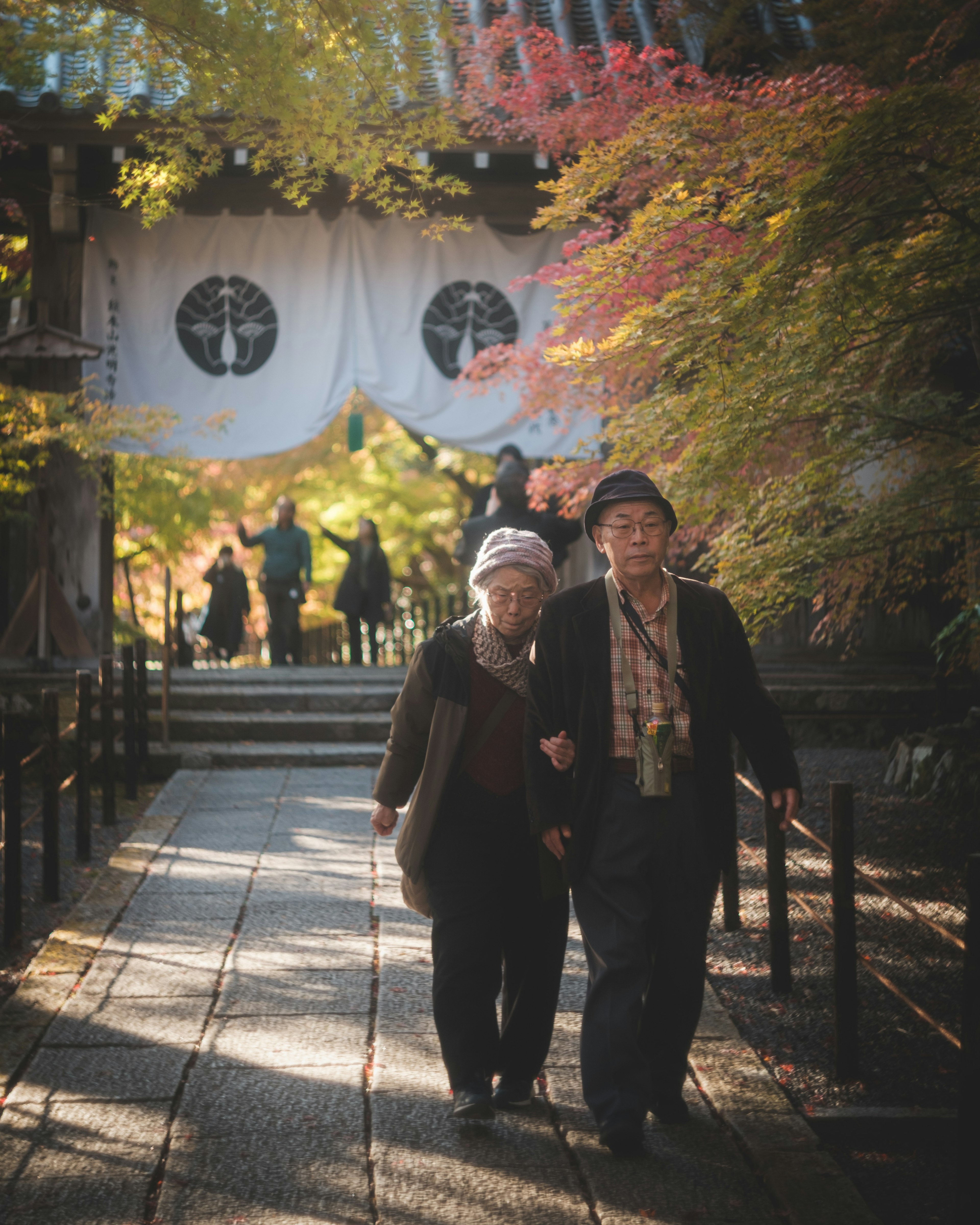 秋の公園を散歩する二人の高齢者と美しい紅葉