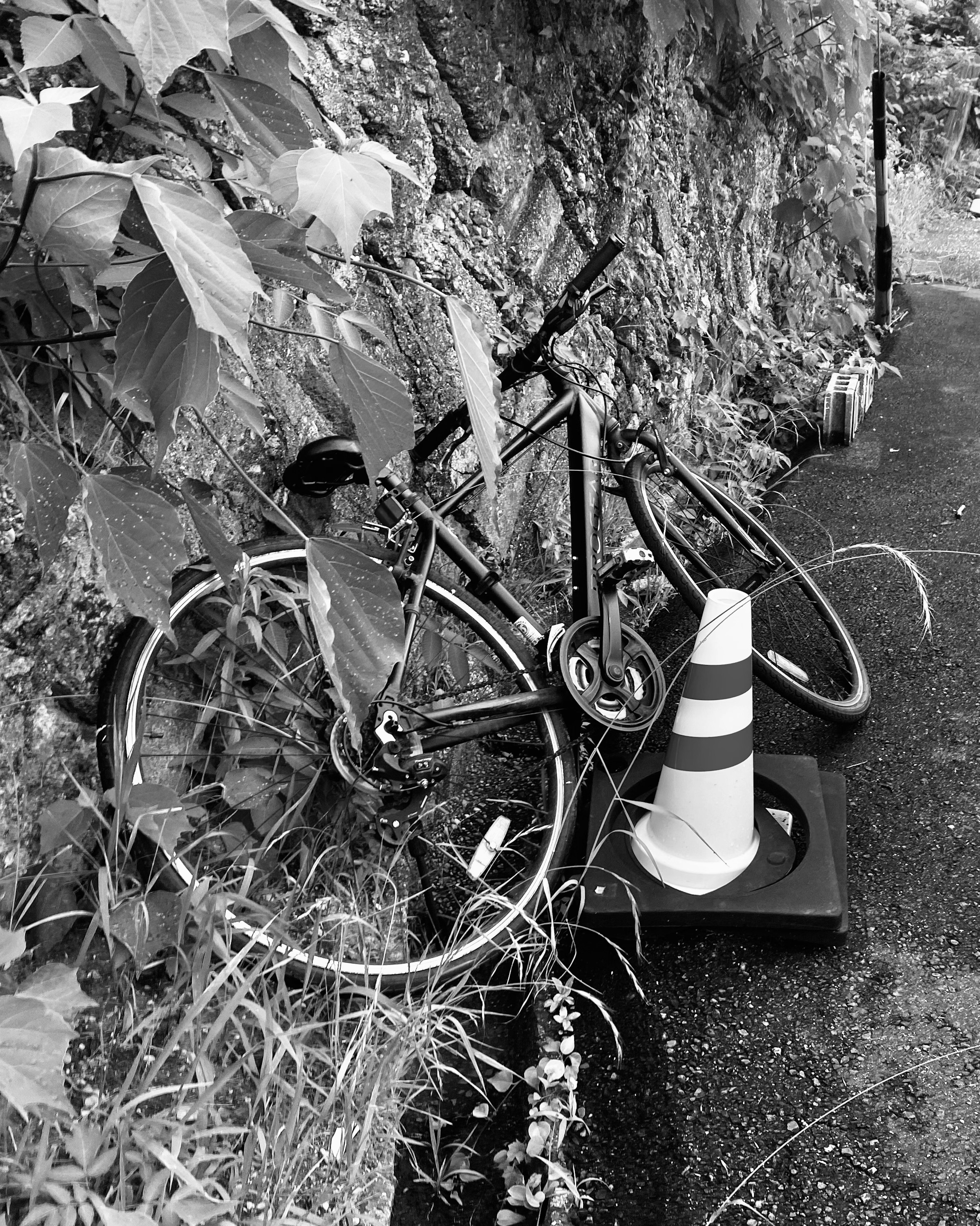 Bicicleta negra abandonada apoyada contra una pared con un cono de tráfico y hierba circundante