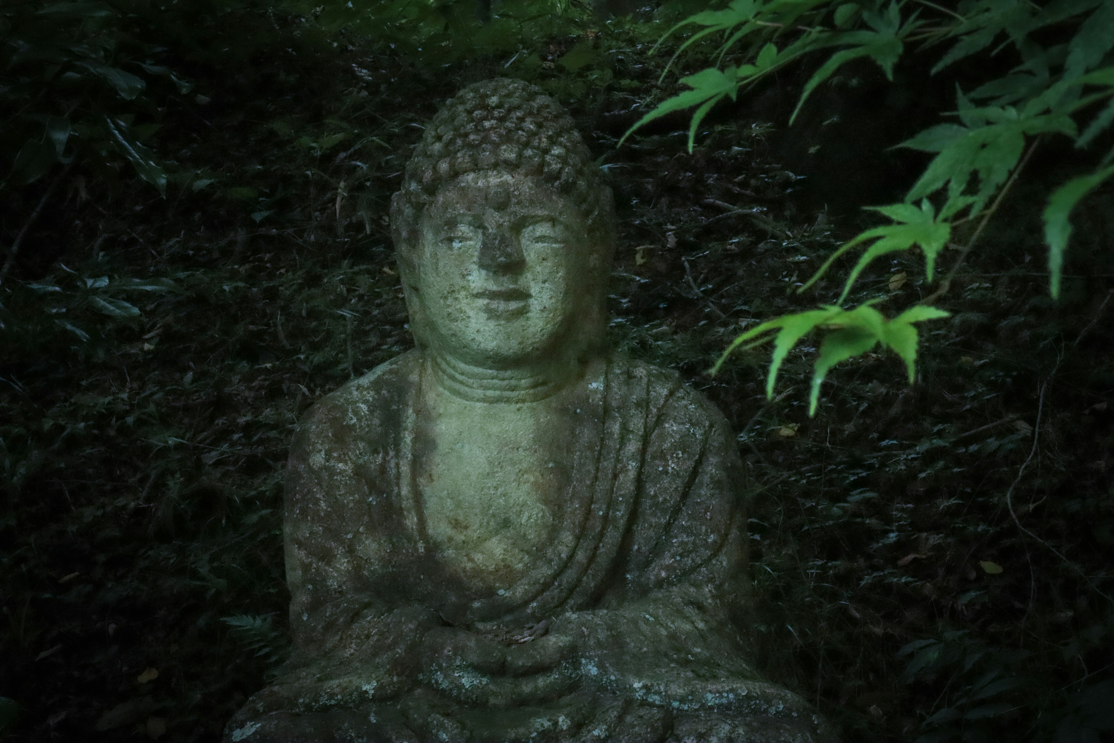 Statue de Bouddha en pierre assise sur un fond sombre entourée de feuilles vertes