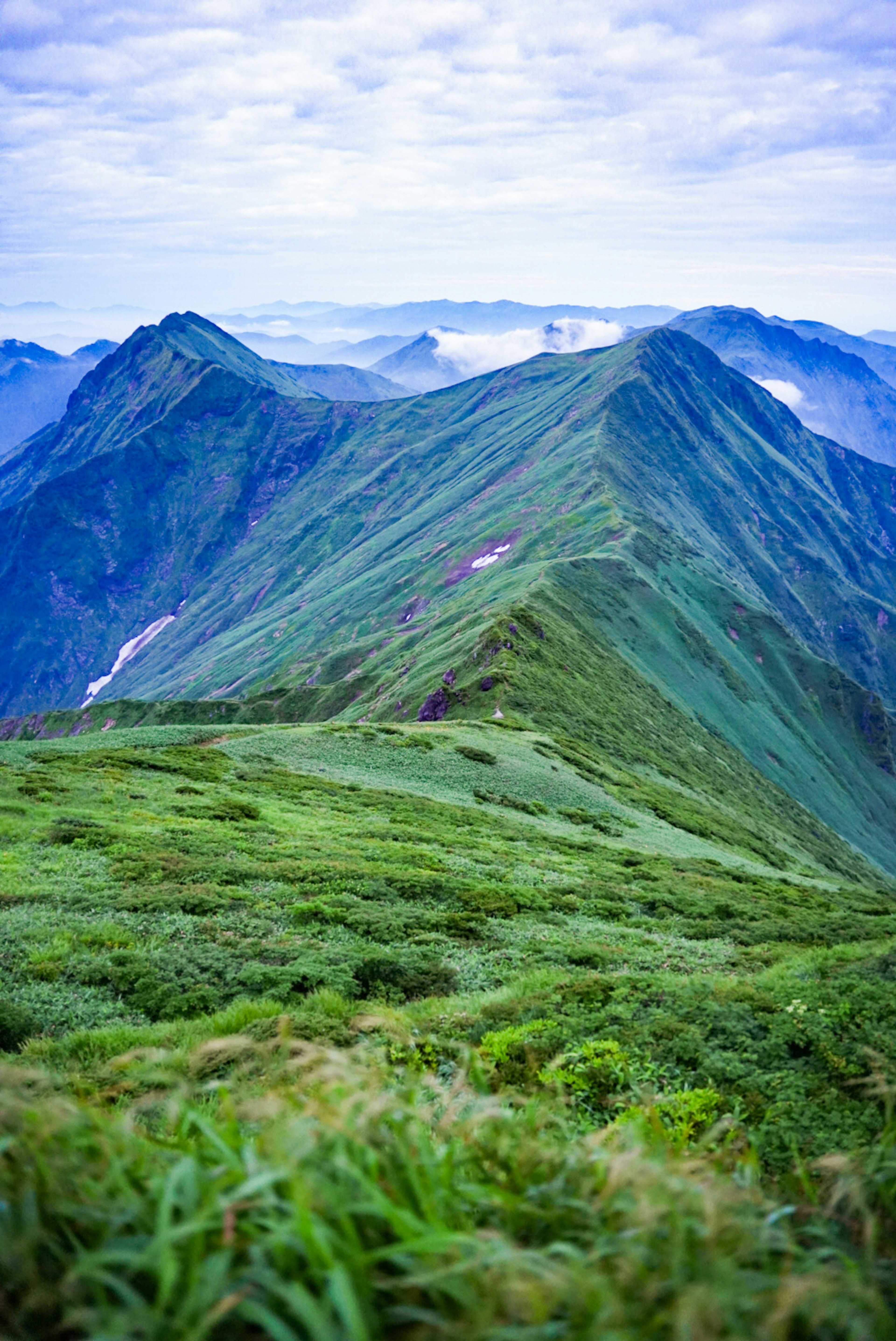 Paesaggio verdeggiante con maestose montagne