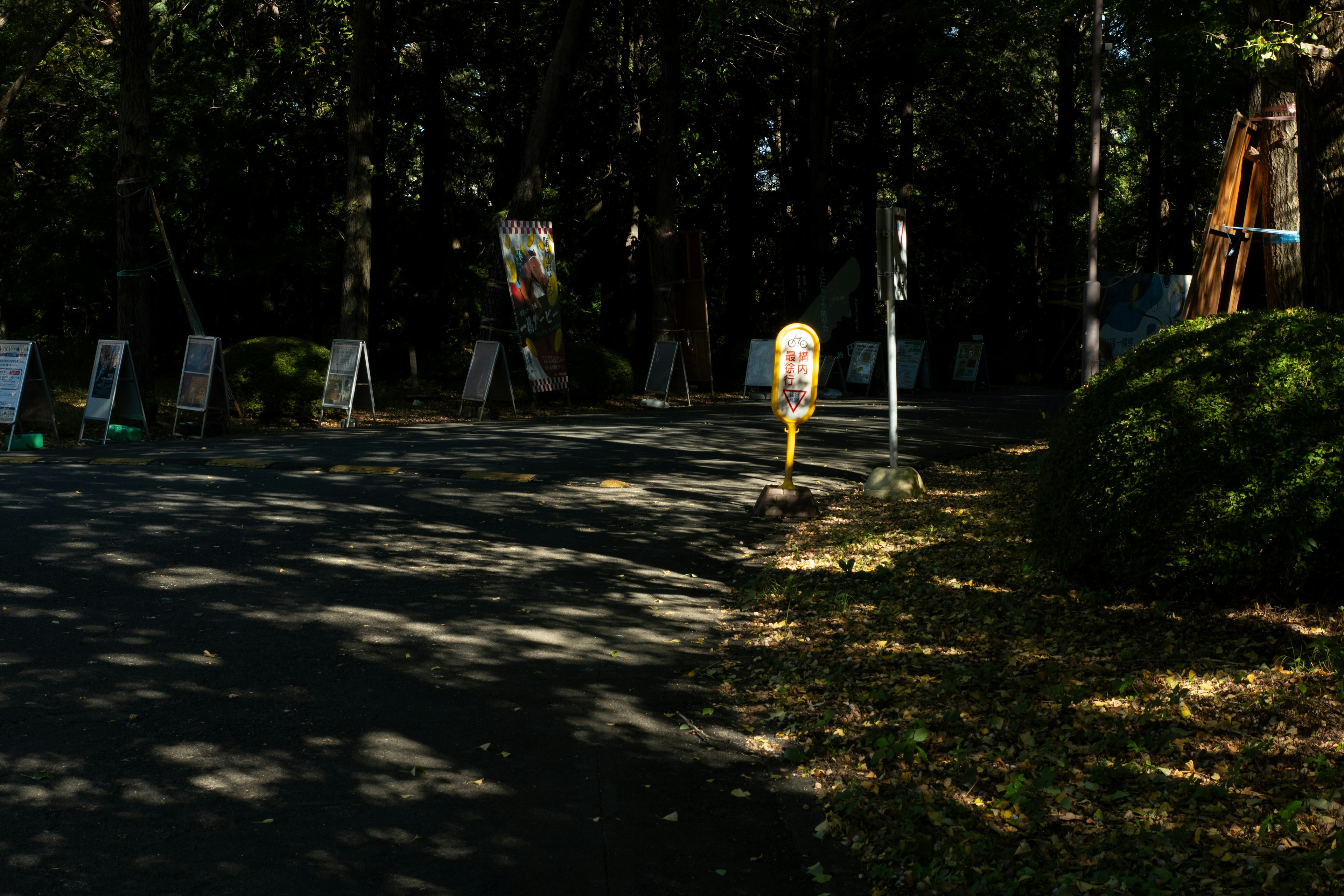 Yellow telephone booth beside the road surrounded by trees and shadows