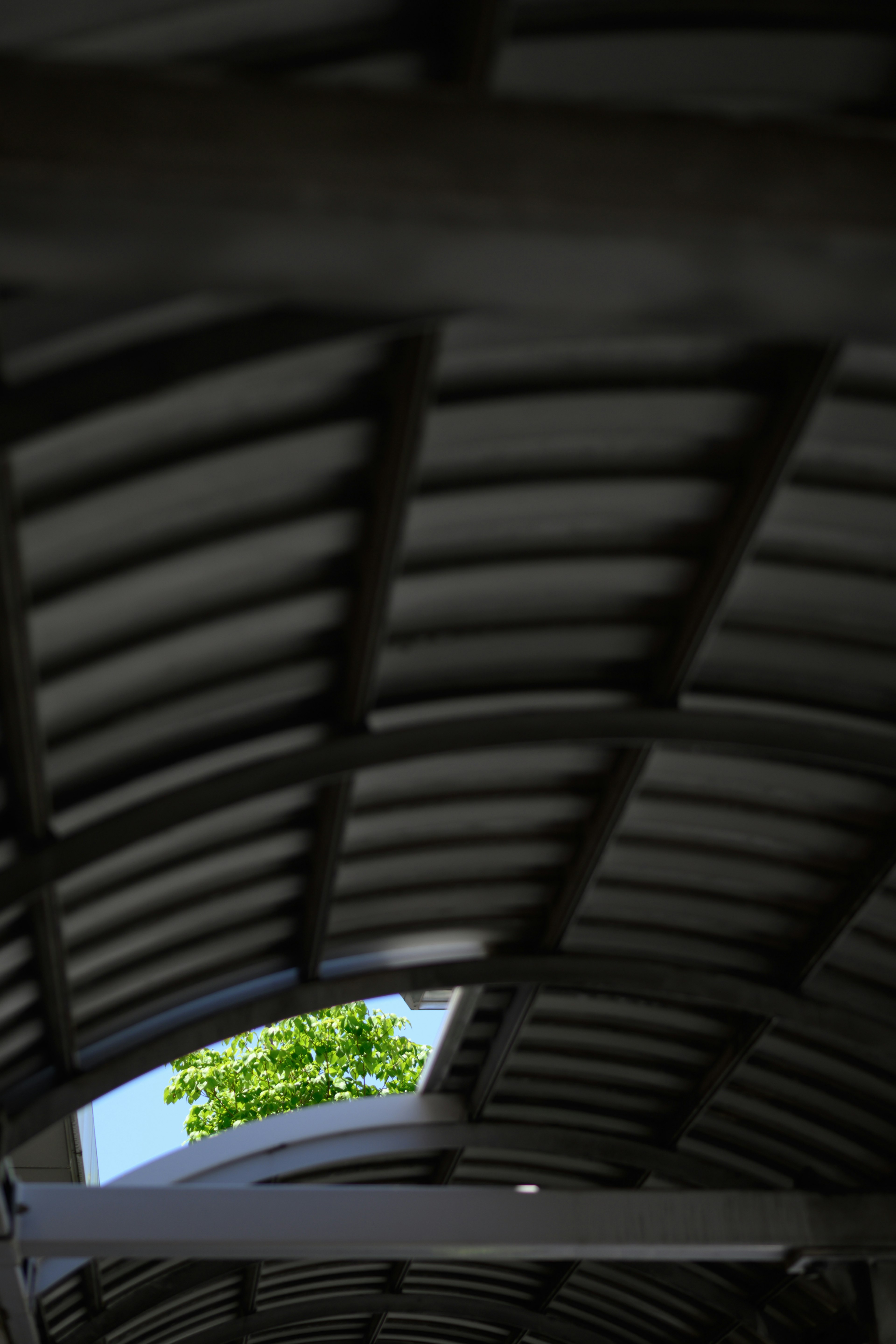 屋根の下から青空と緑の木が見える風景