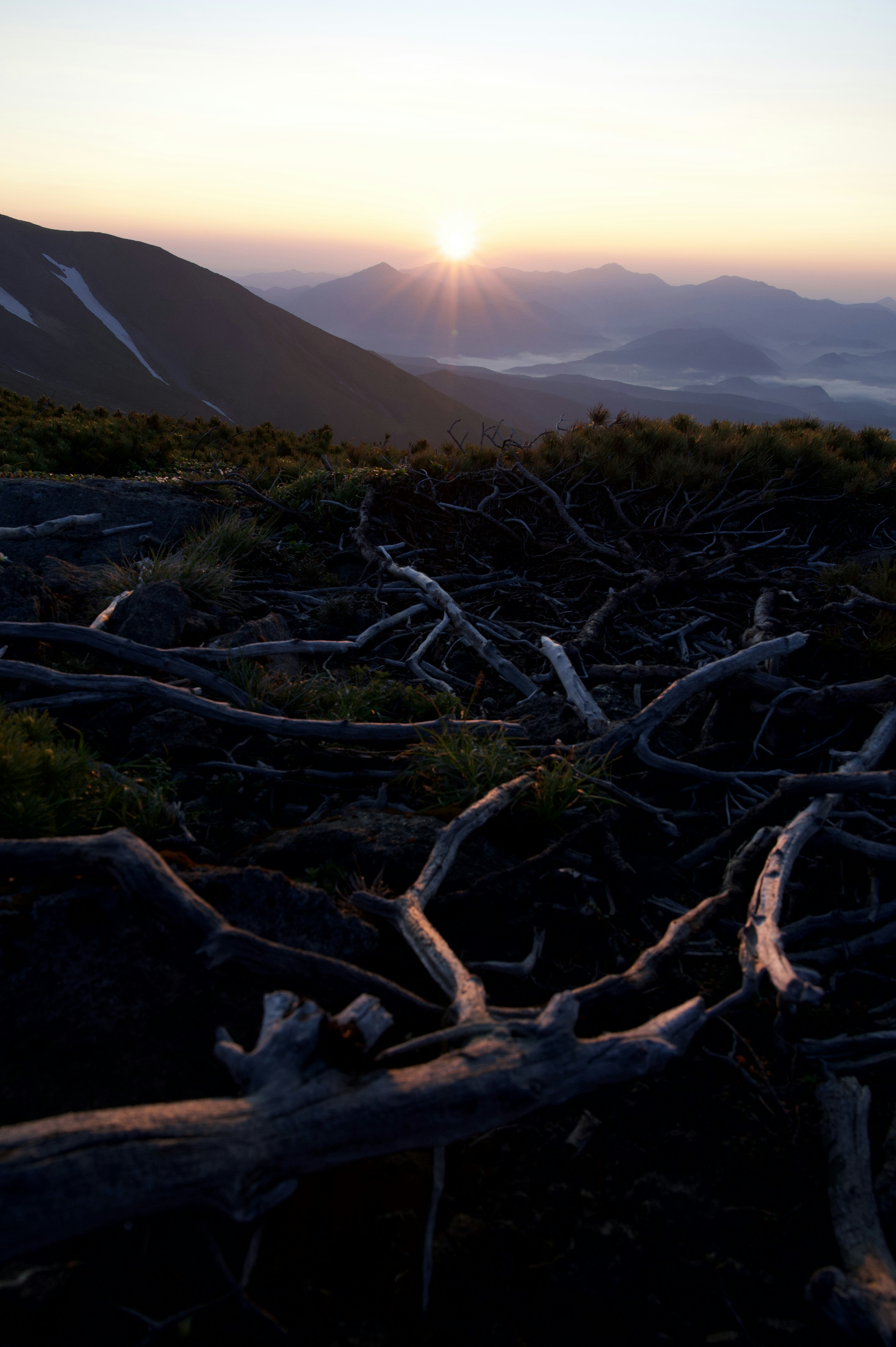 Mountain landscape with sunrise and tree roots