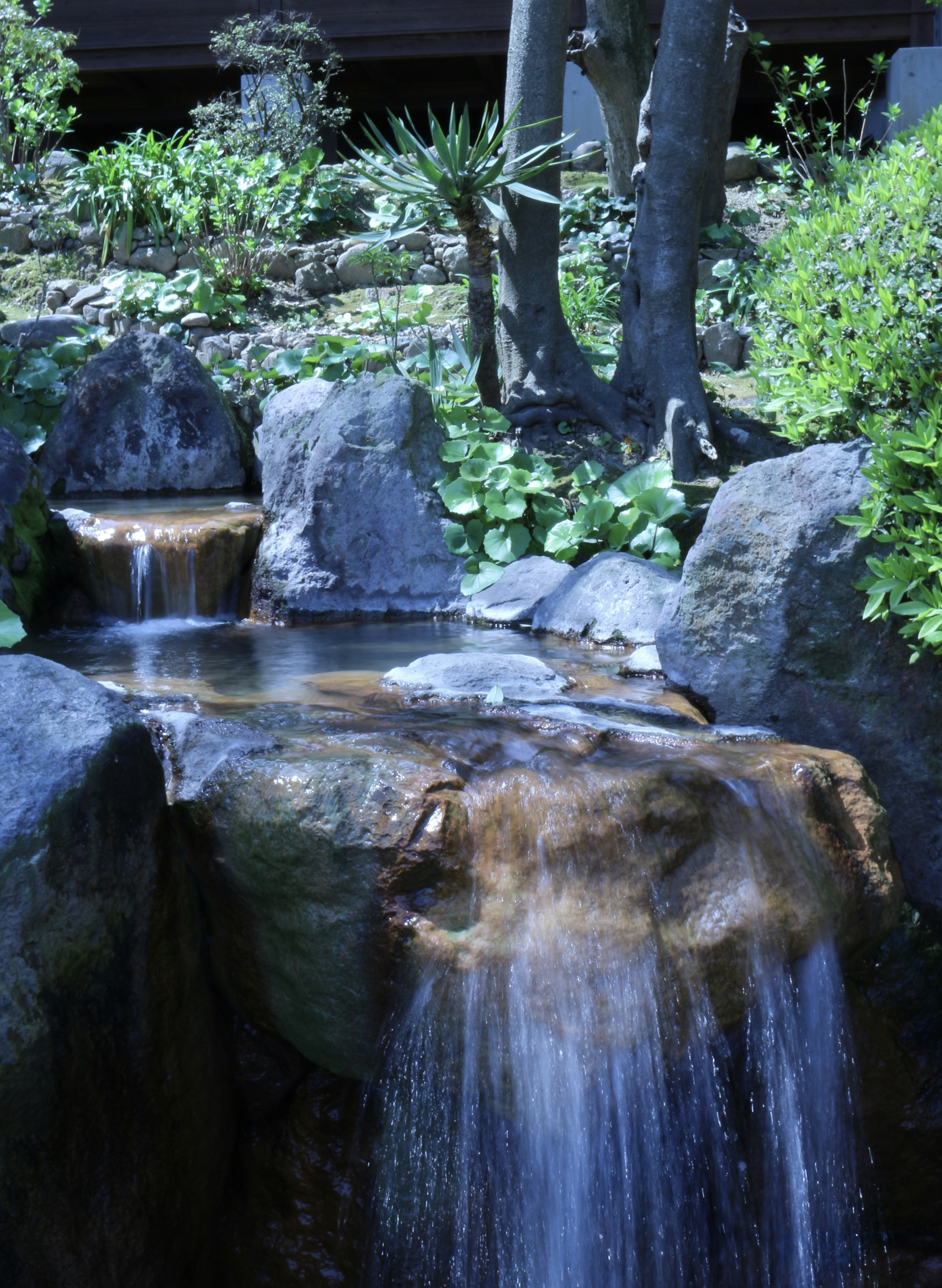 A serene waterfall surrounded by lush greenery and rocks