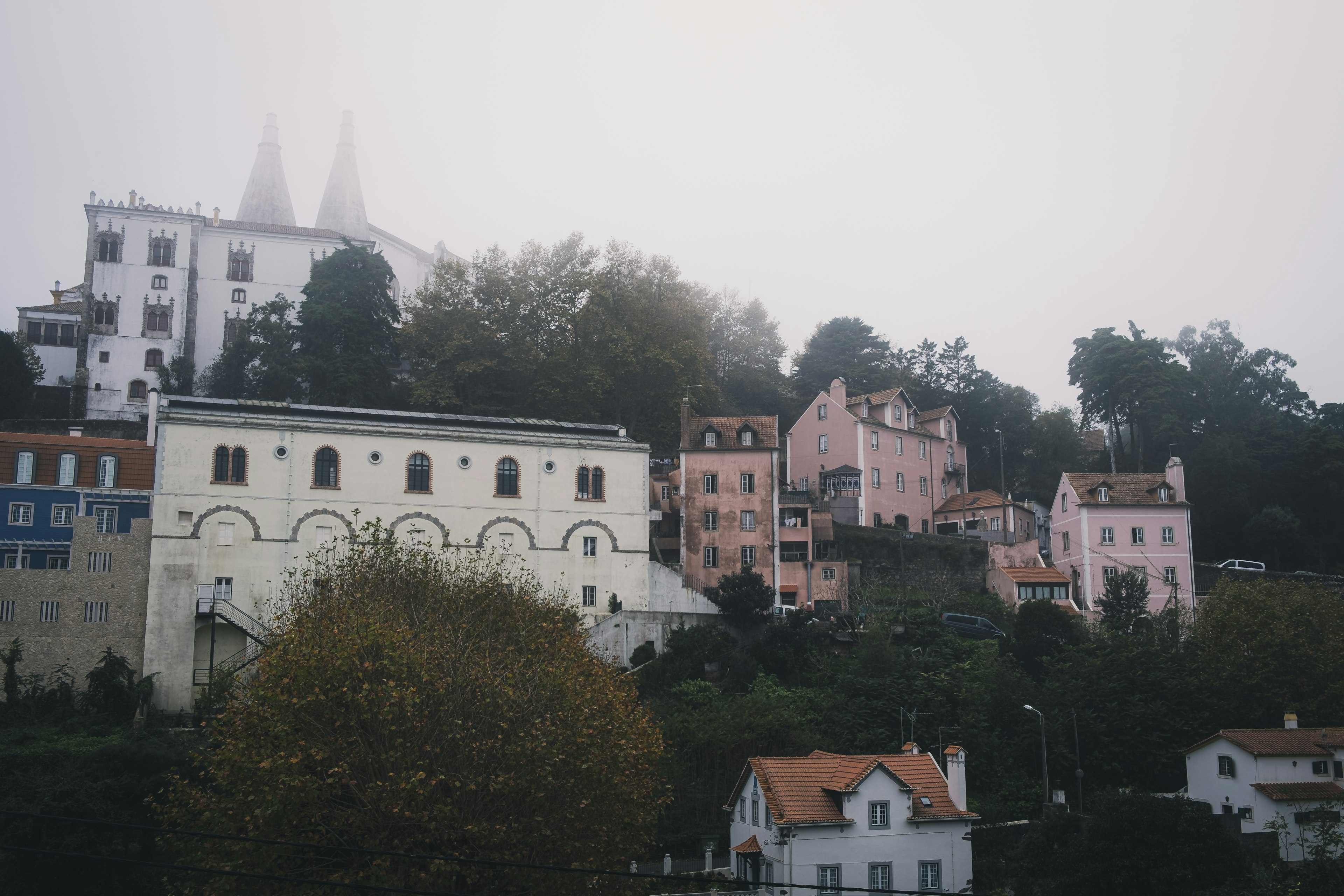 Colorful buildings and hillside scenery emerging in fog