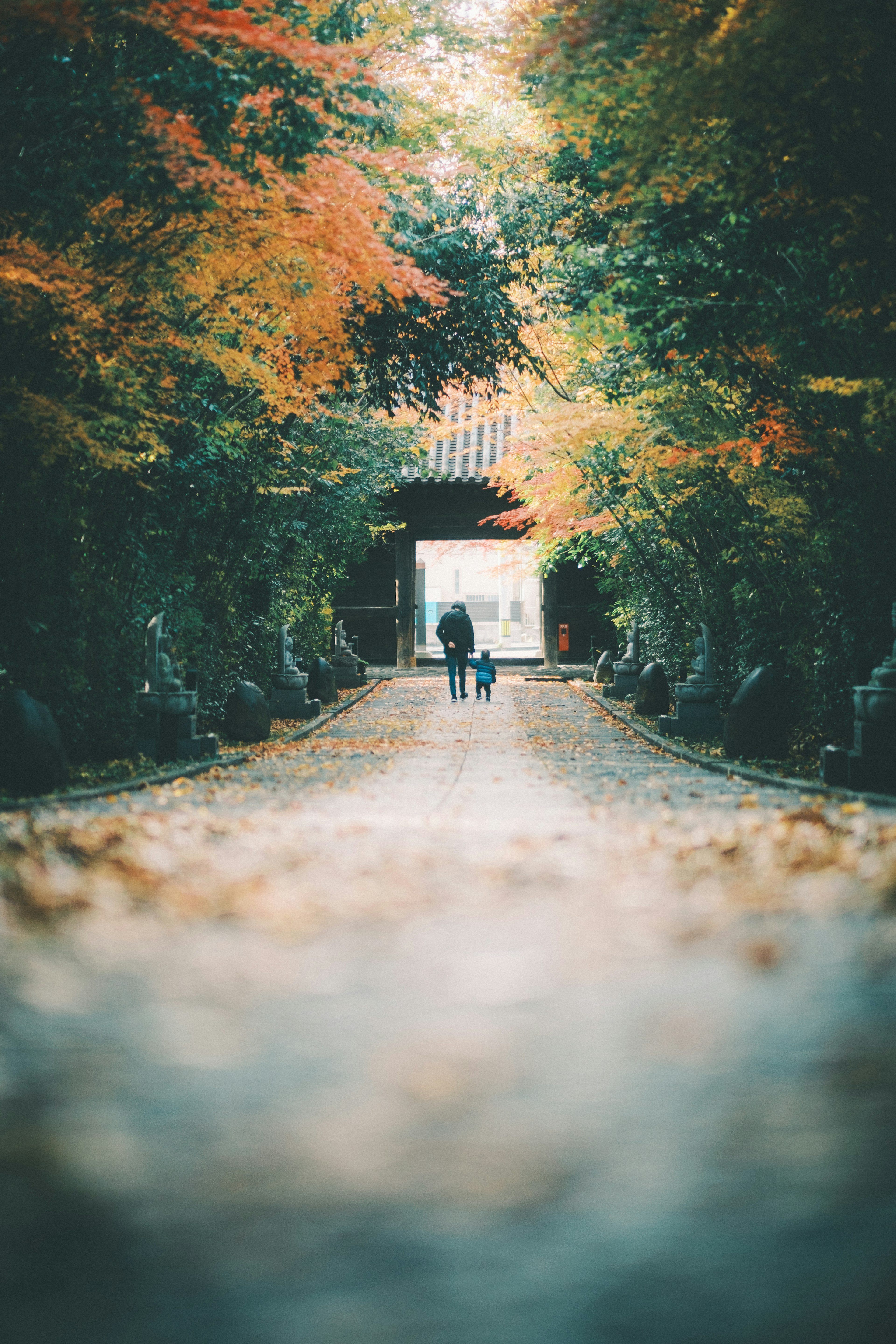 A scenic pathway lined with colorful autumn leaves and a distant entrance