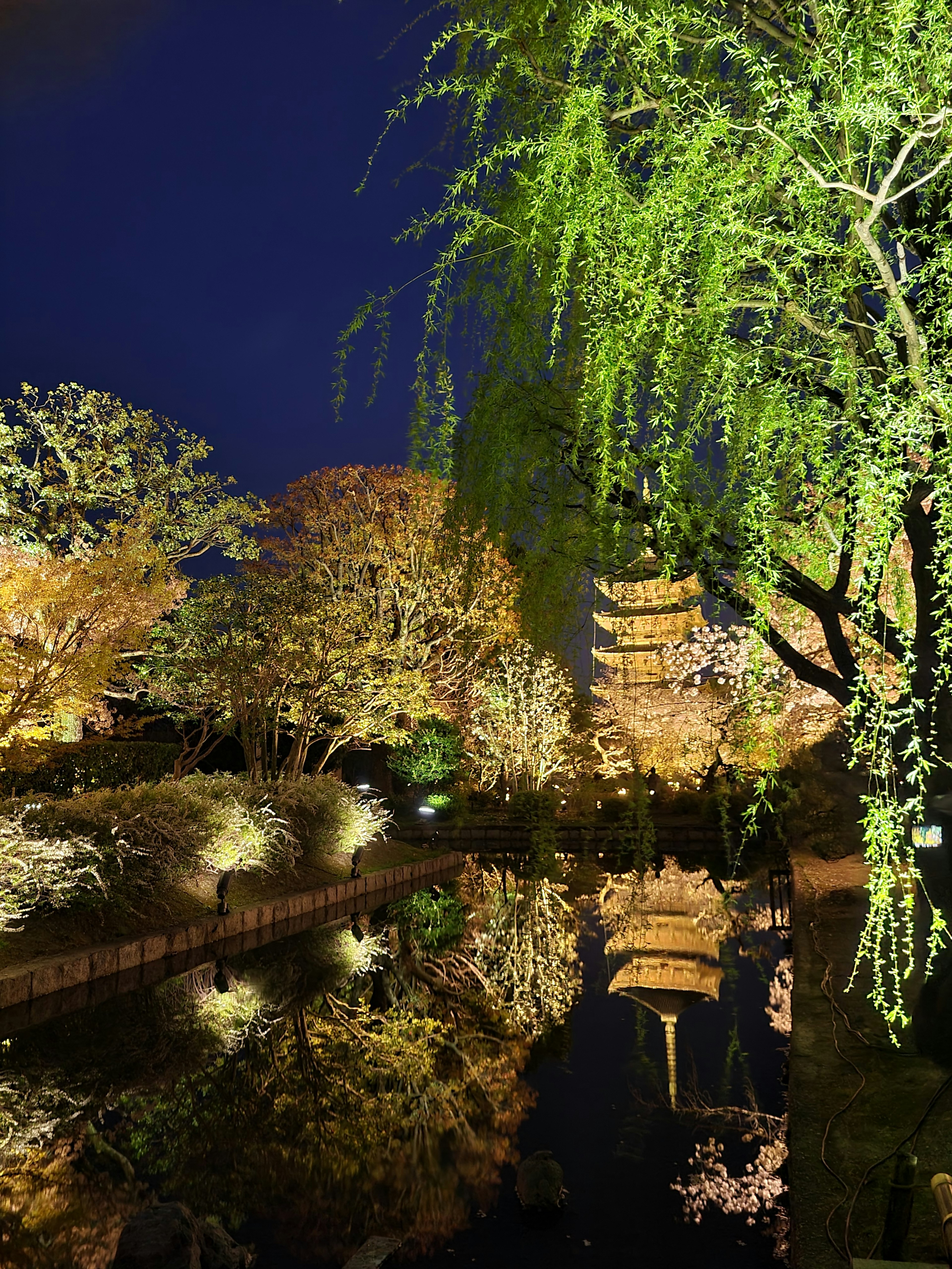 Japanese garden at night featuring a pagoda and cherry blossom trees