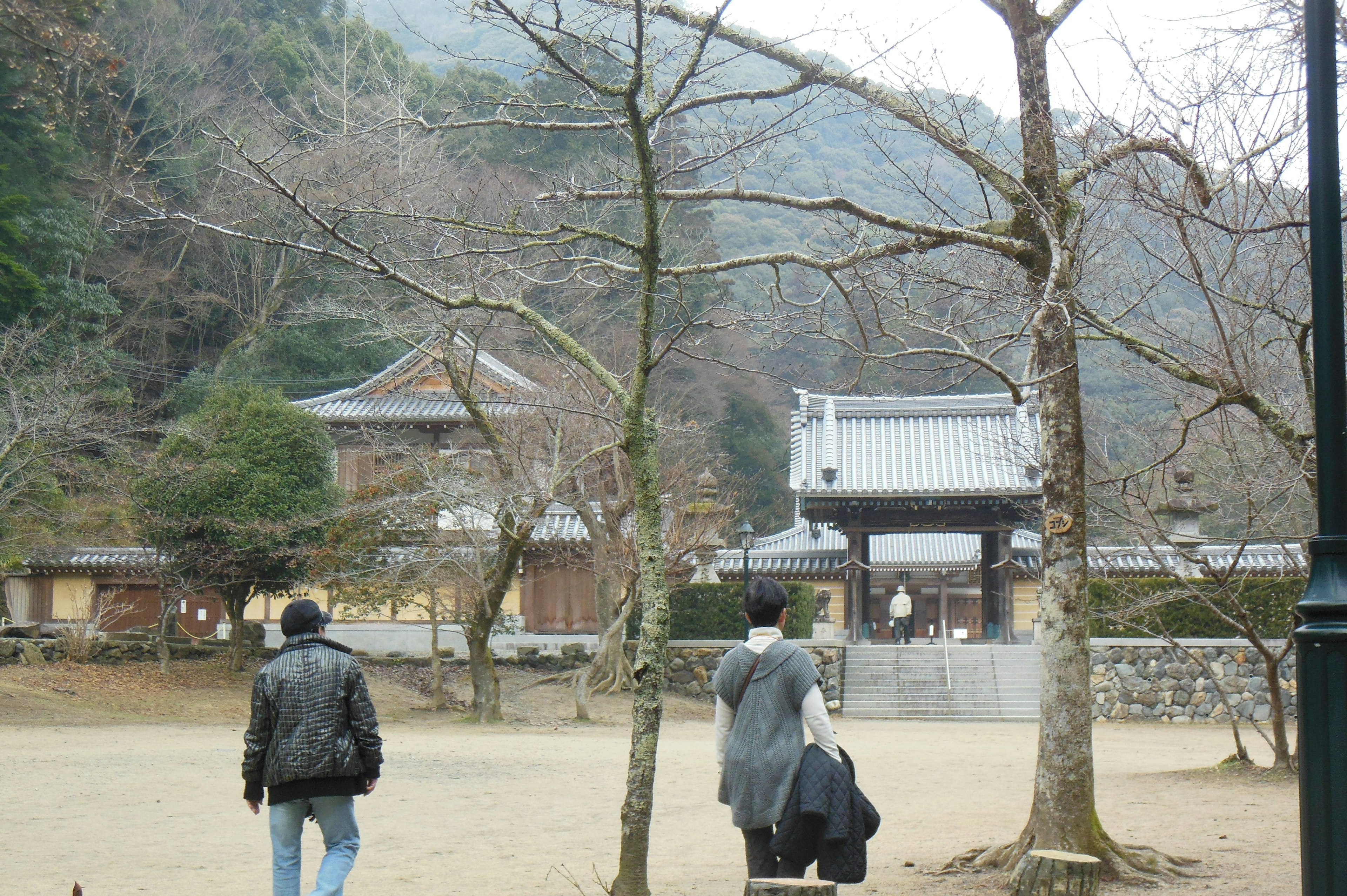 两名男性在冬季风景中行走，背景是古老的寺庙大门