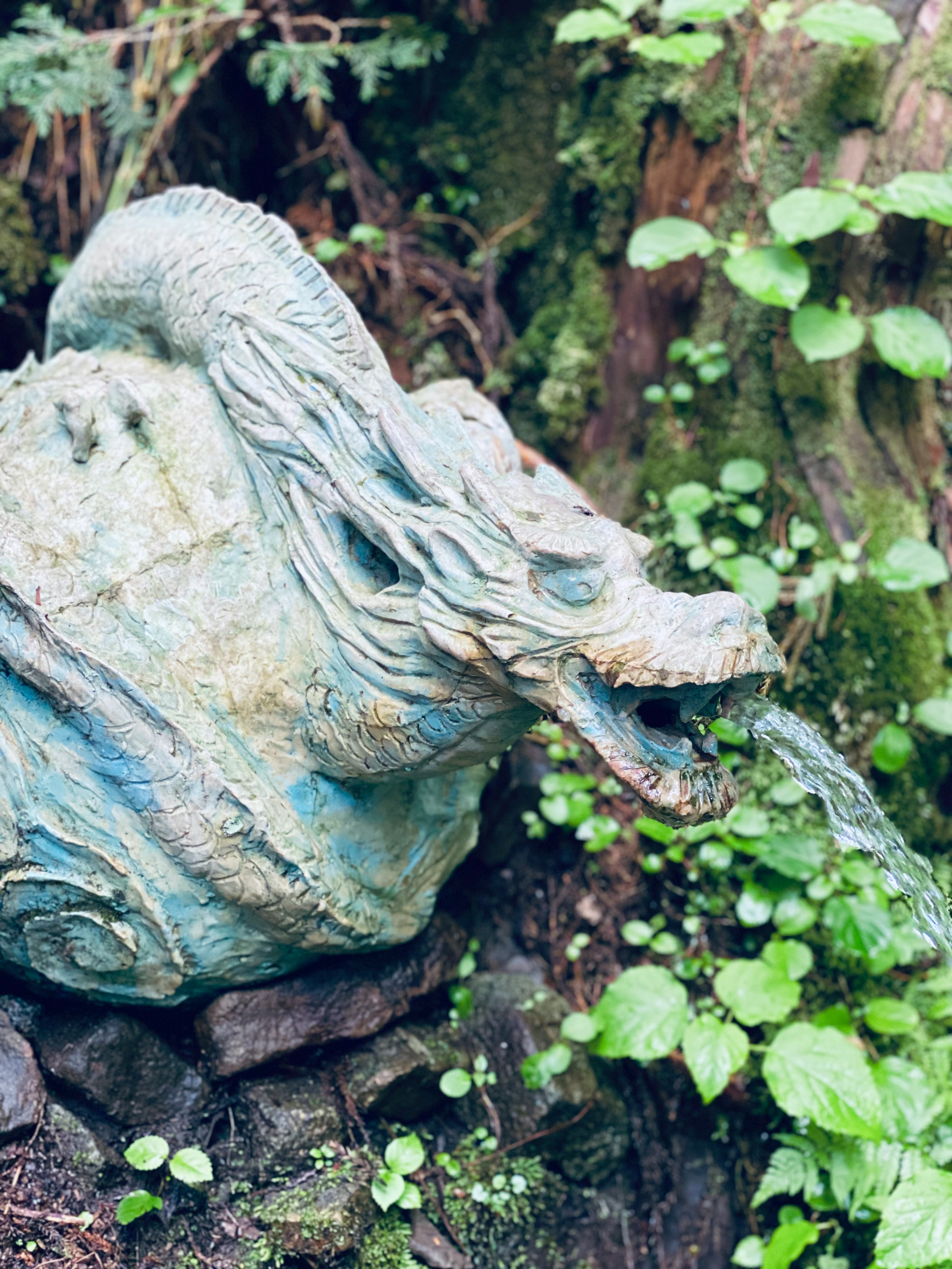 Sculpture de dragon en bronze crachant de l'eau entourée de plantes vertes luxuriantes