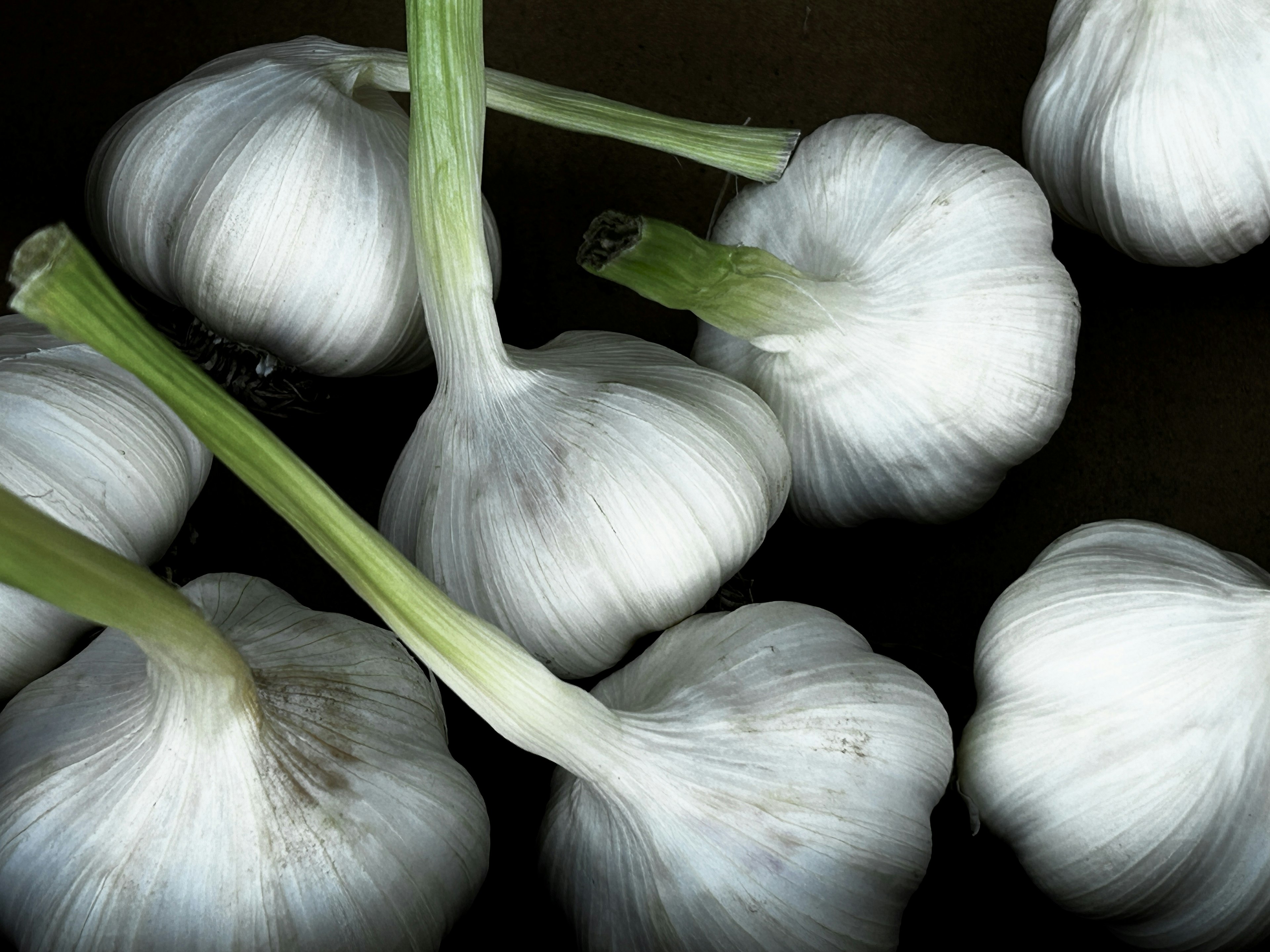 Clusters of white garlic on a black background