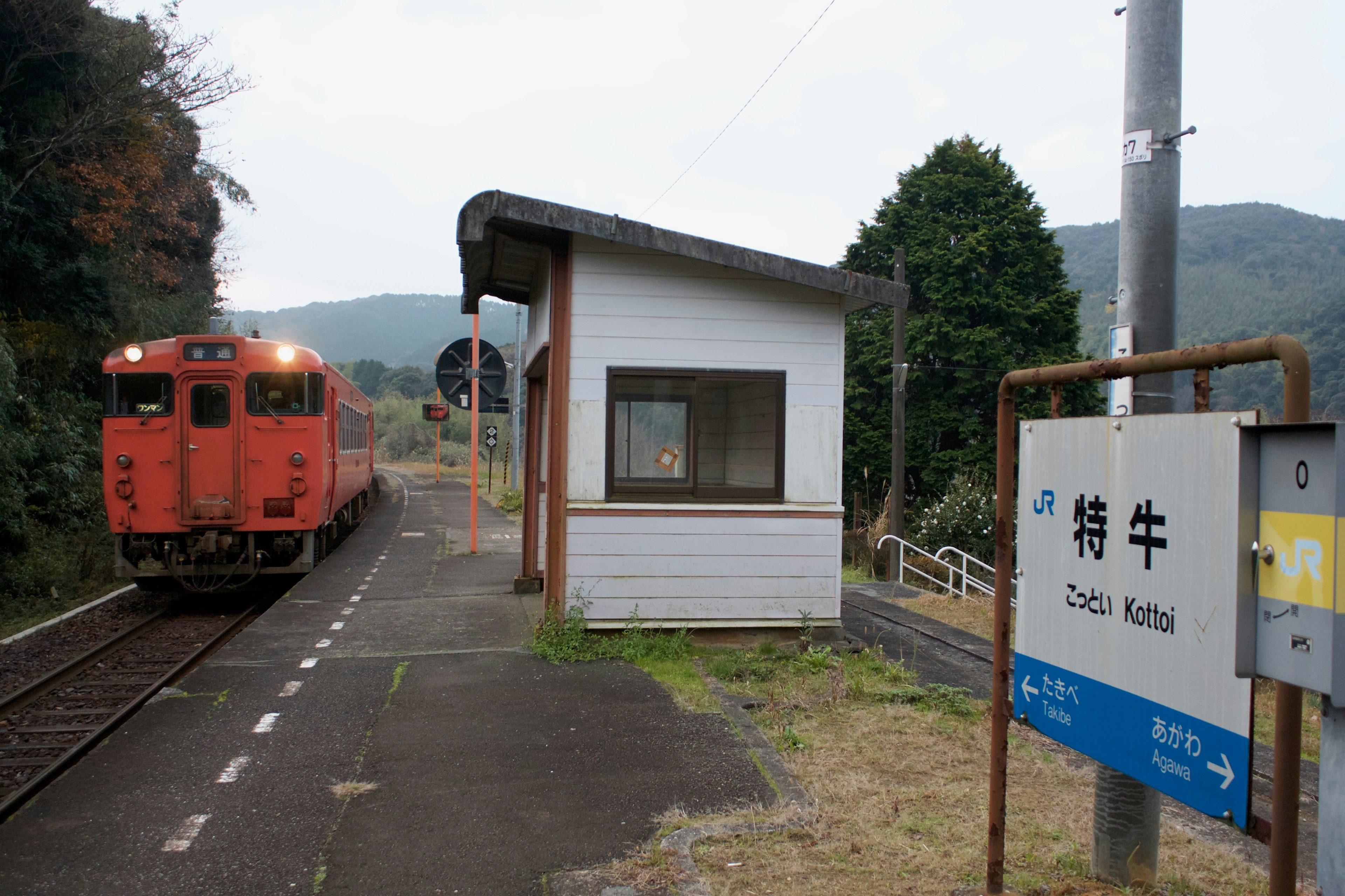 A red train at a rural station with mountains in the background