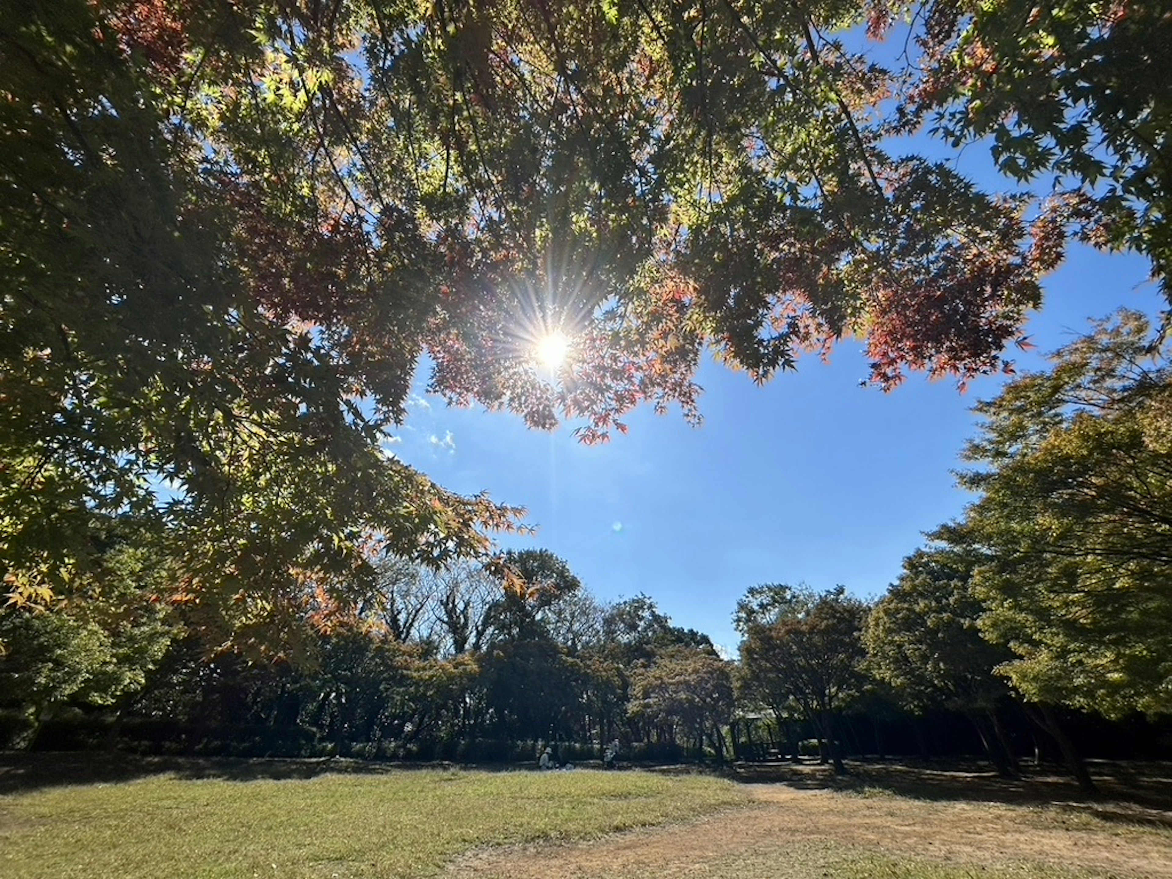 Parkszene umgeben von Herbstblättern und blauem Himmel mit strahlender Sonne