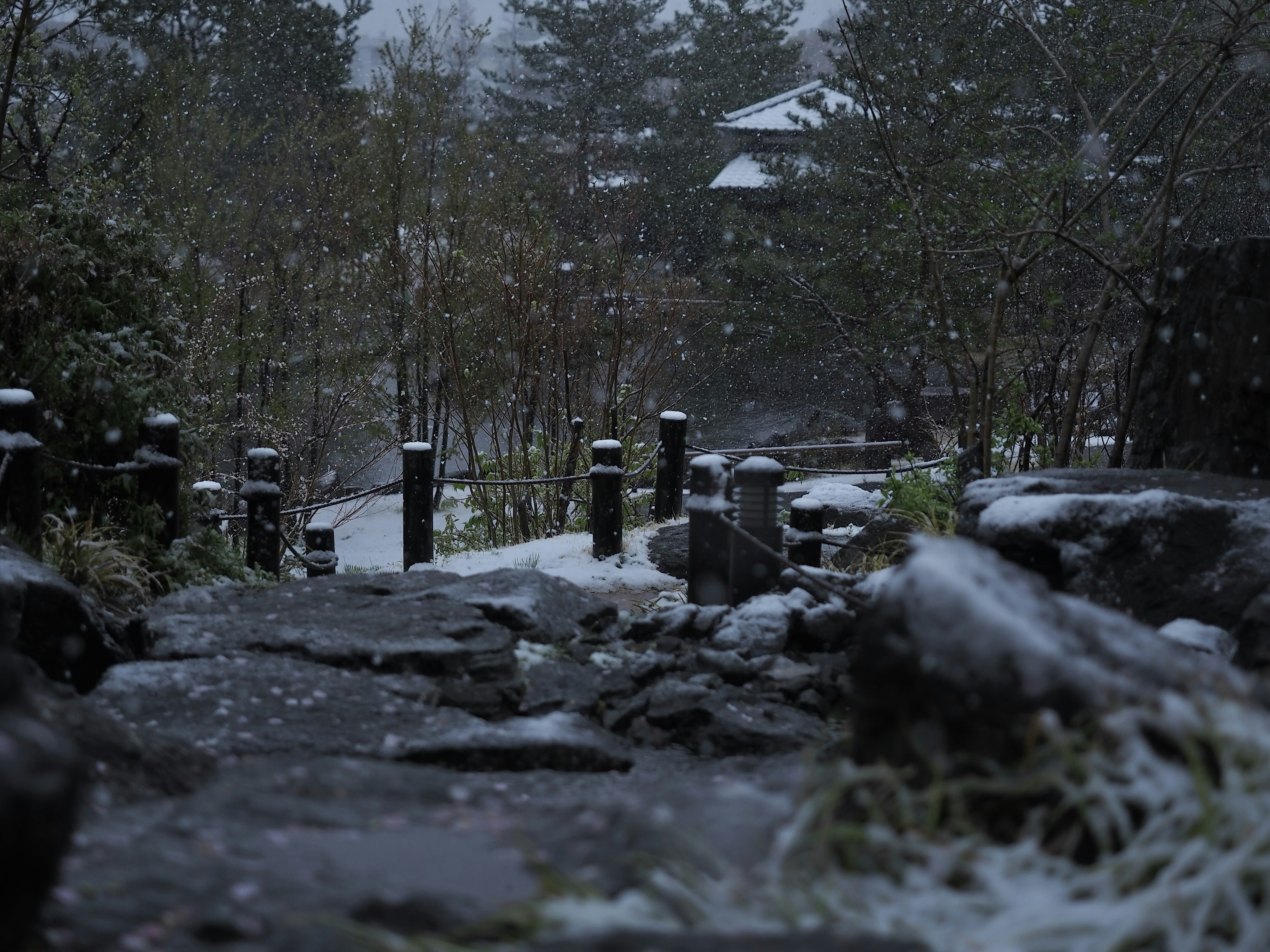 Camino nevado en un jardín tranquilo con sendero de piedra