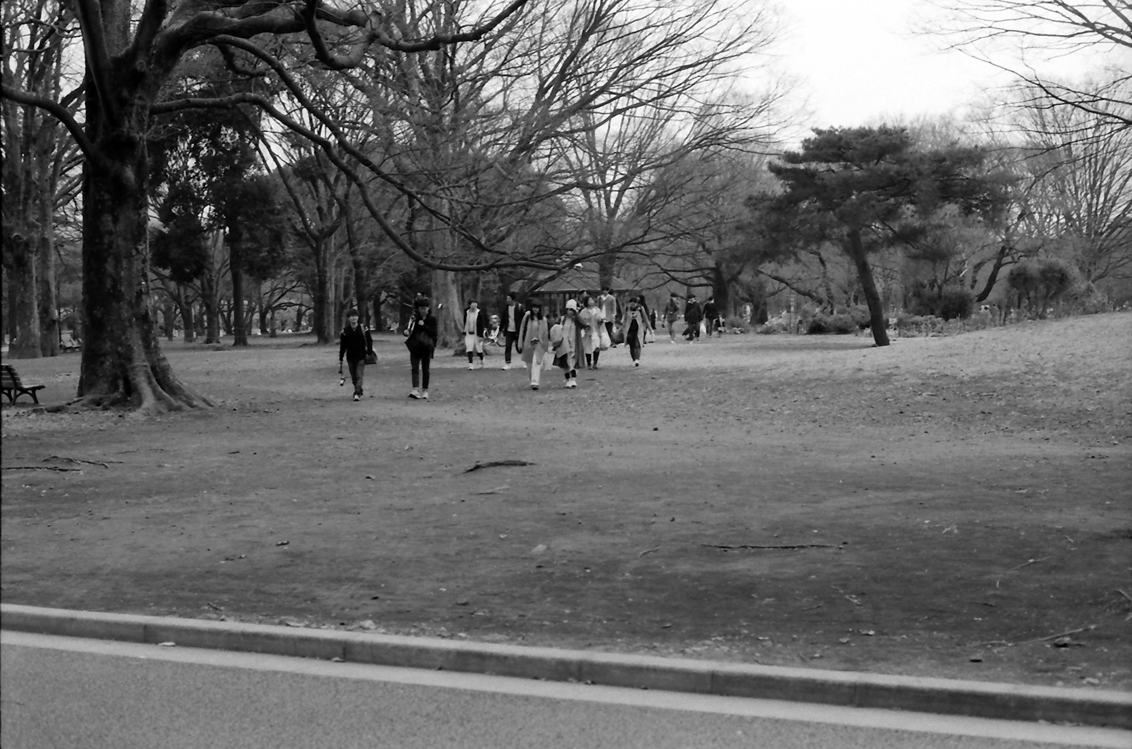 Schwarzweißfoto, das Menschen zeigt, die in einem Park mit kahlen Bäumen spazieren