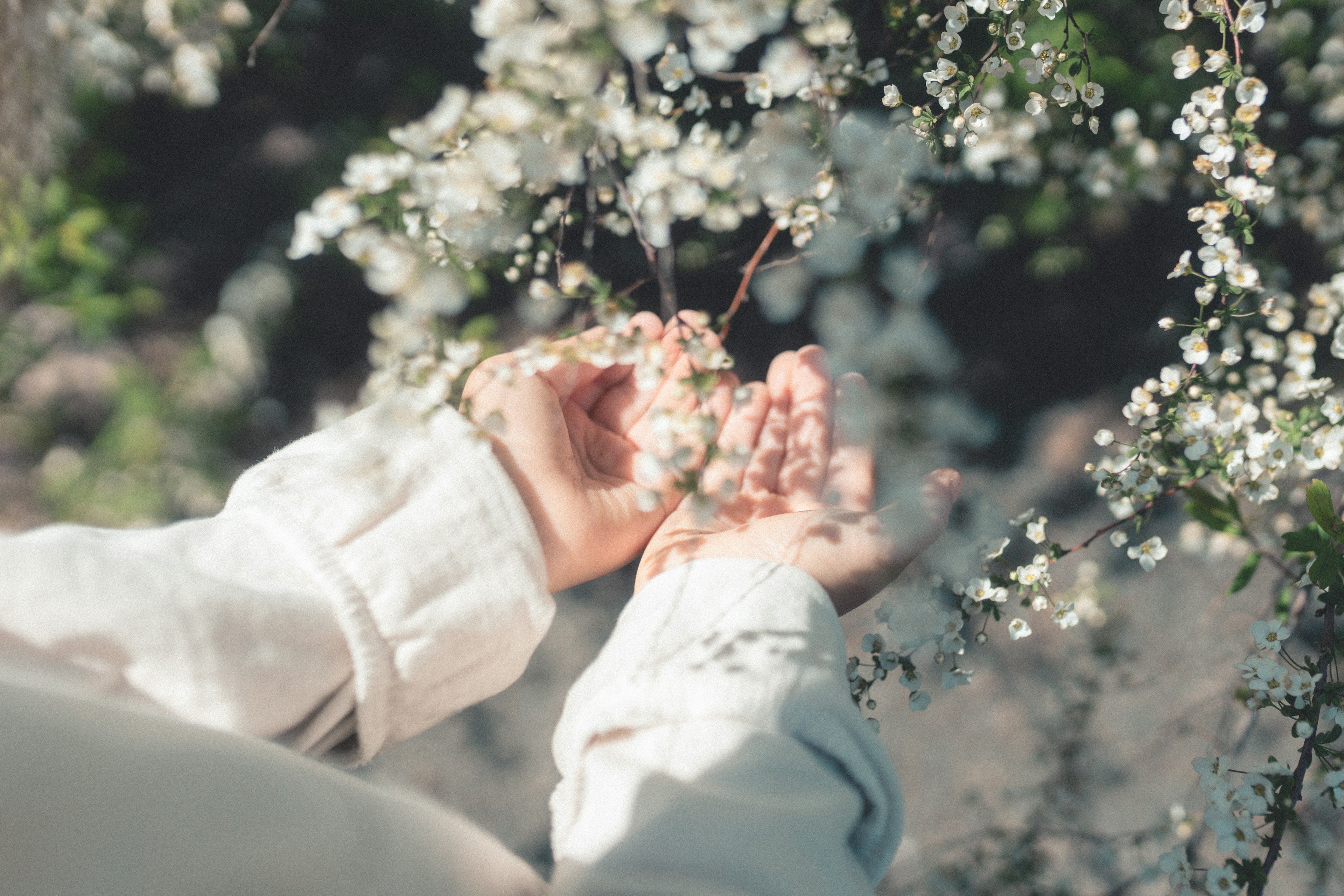 Nahaufnahme einer Frau, die weiße Blumen in ihren Händen hält