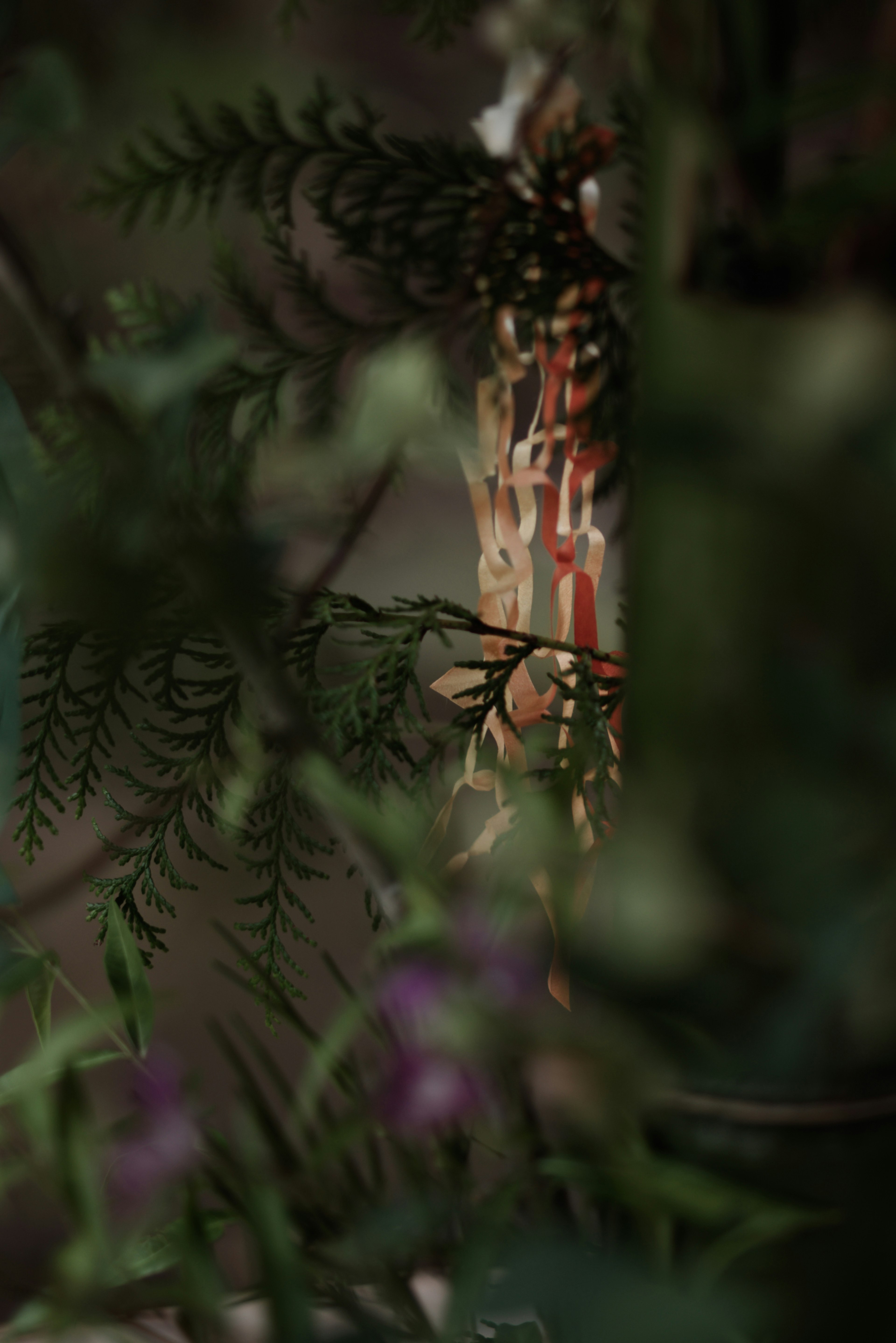 Image montrant un objet partiellement caché parmi des feuilles vertes avec des fleurs violettes