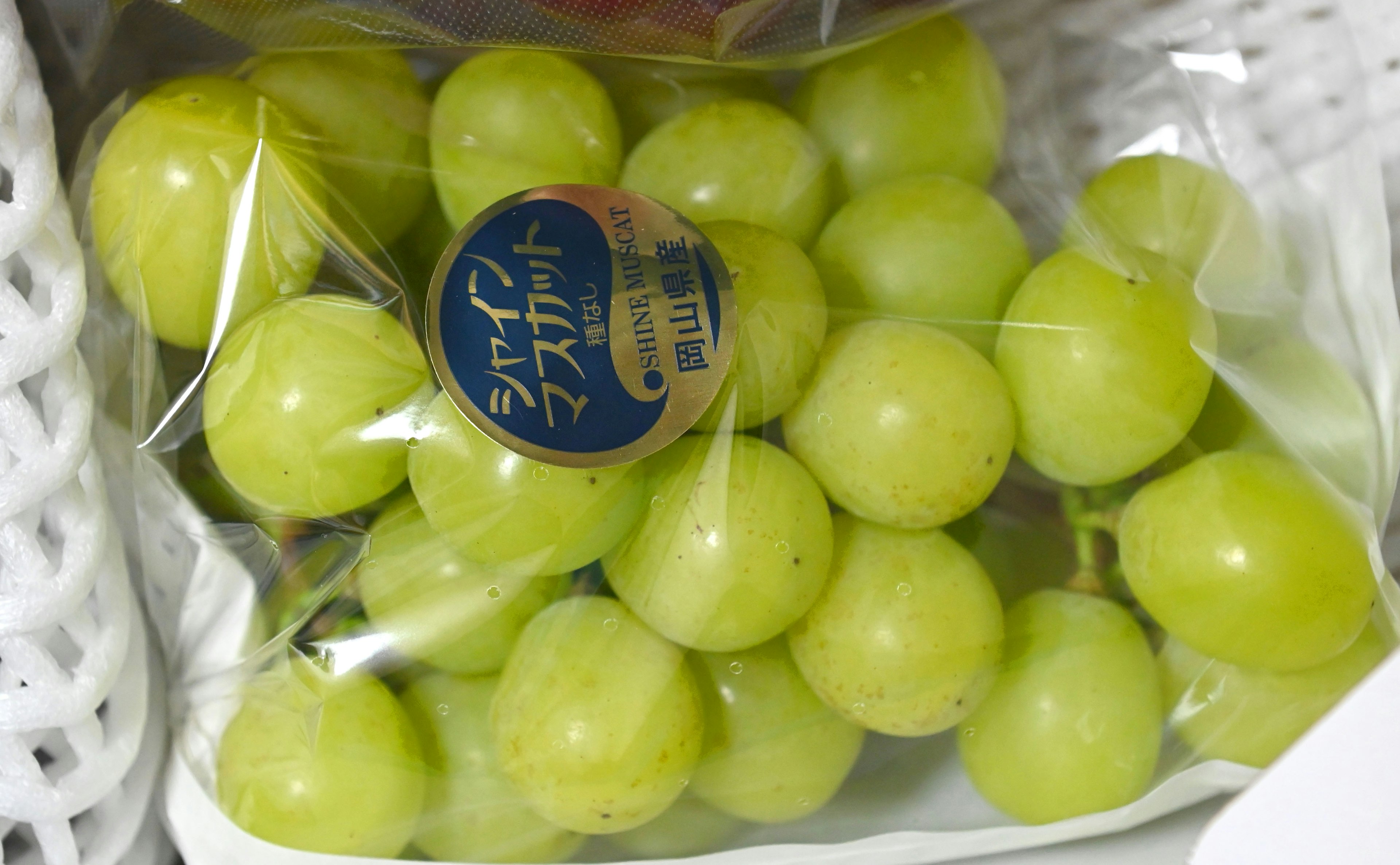 Grappes de raisins verts dans un sac en plastique transparent