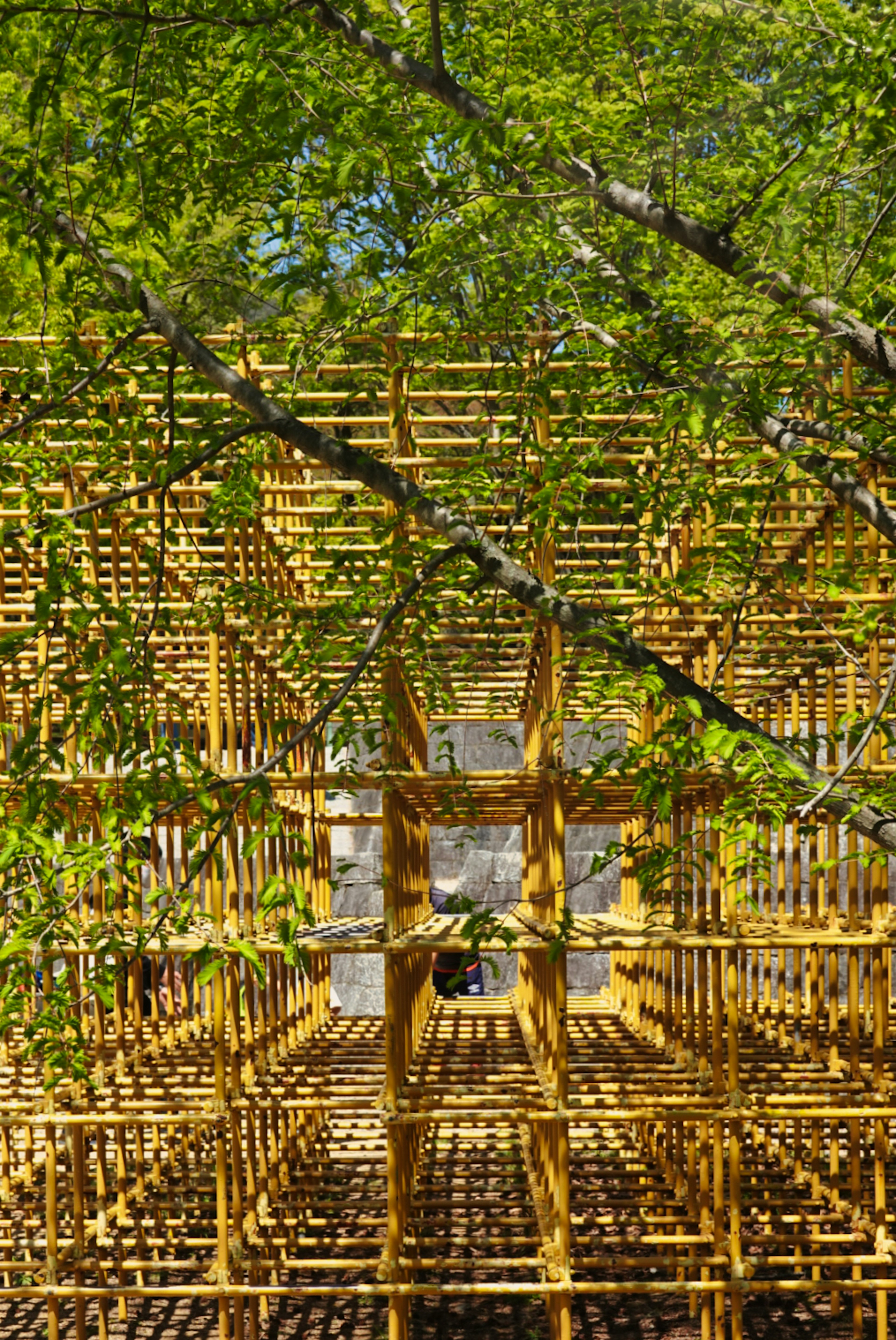 Interior view of a wooden structure surrounded by green leaves