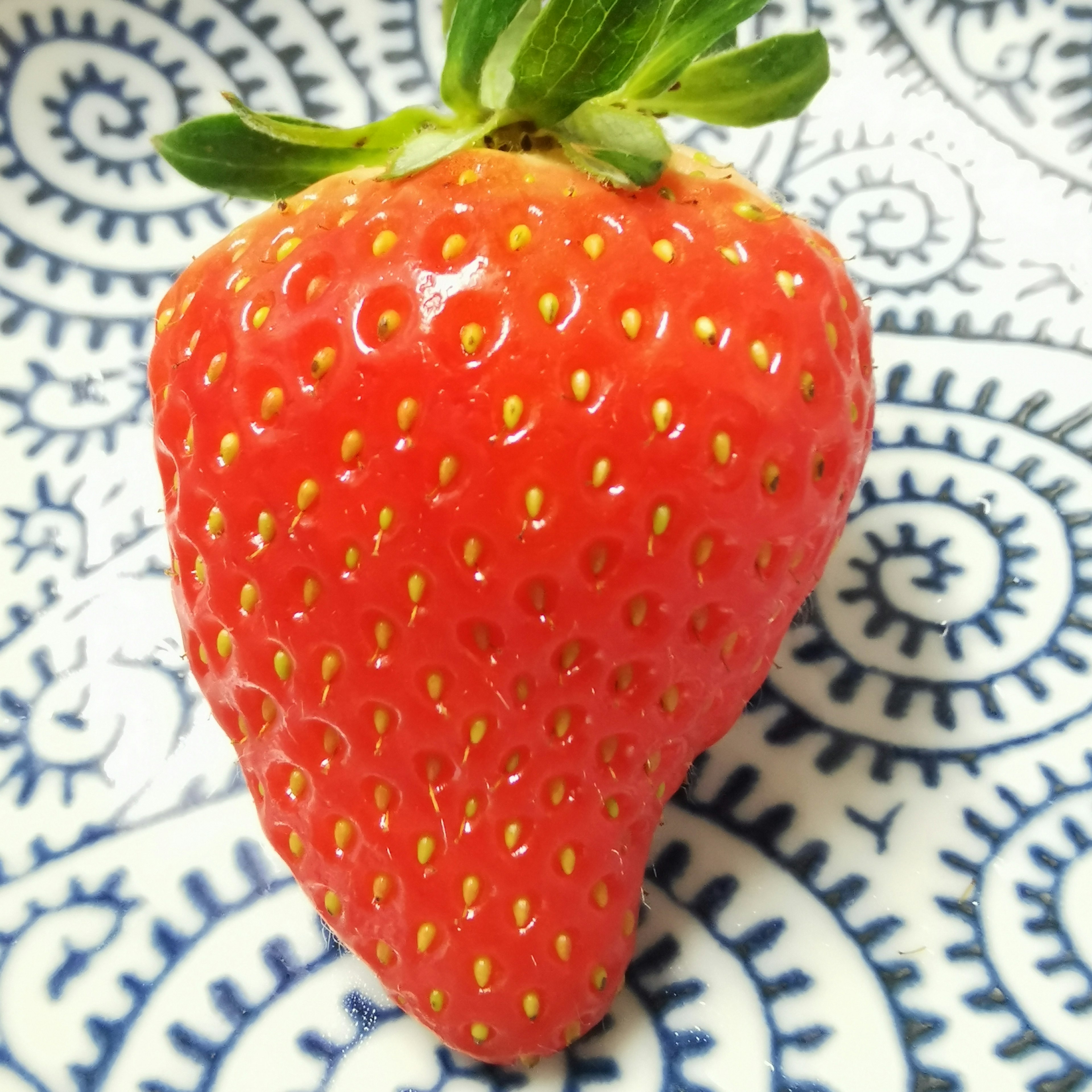 A vibrant red strawberry placed on a patterned blue and white plate