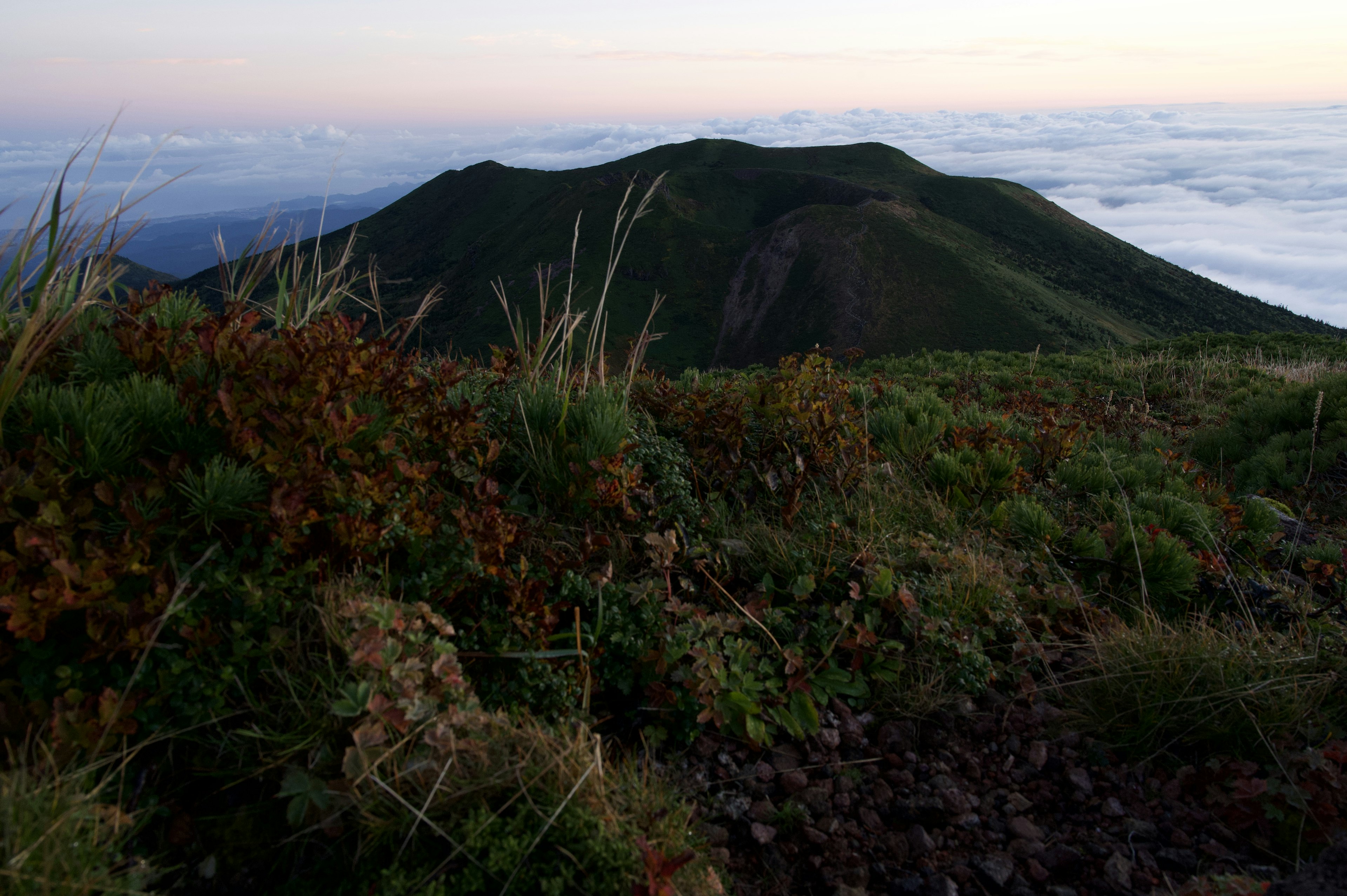 山の頂上からの風景で草と雲海が広がる