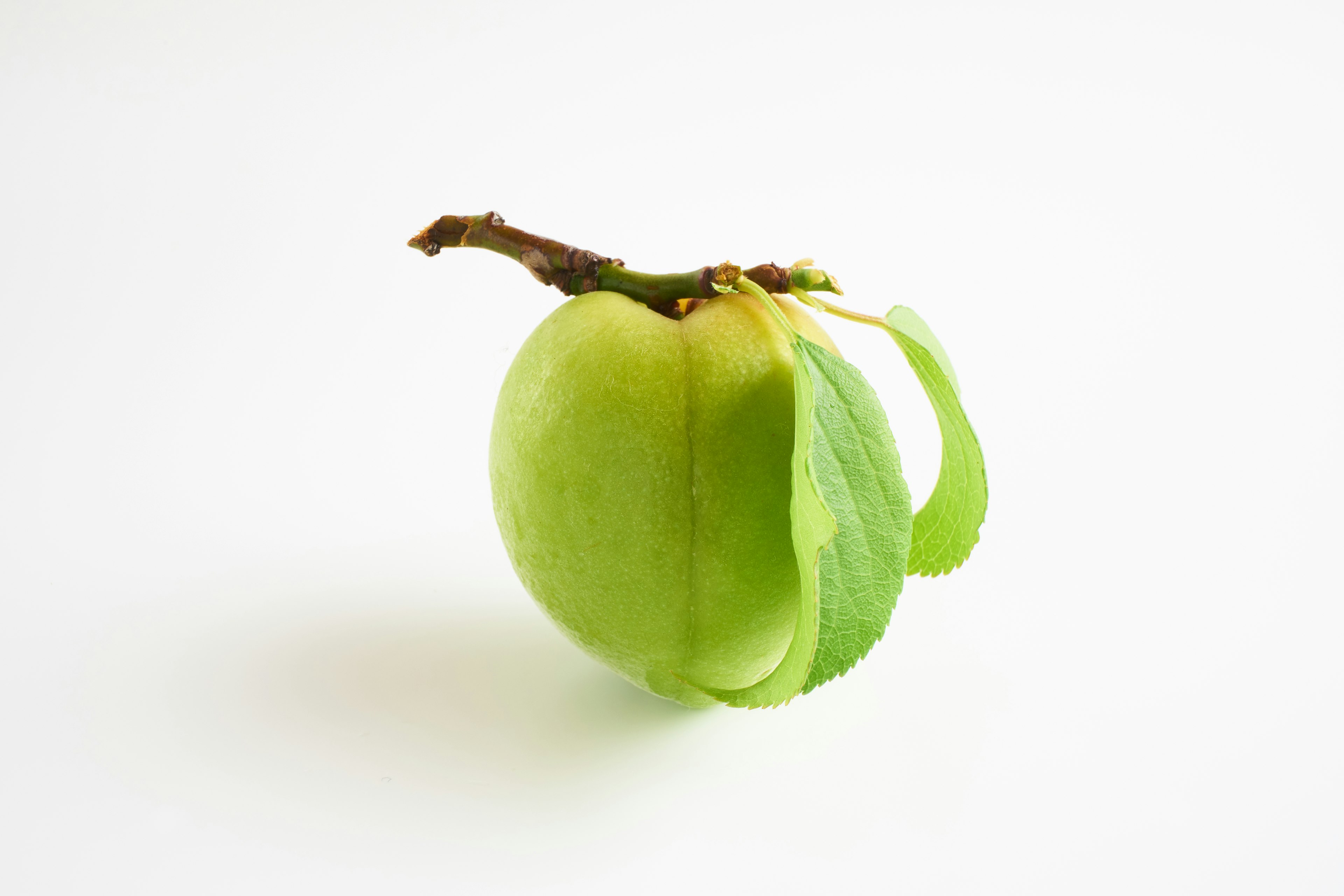 Image d'un fruit vert avec des feuilles attachées