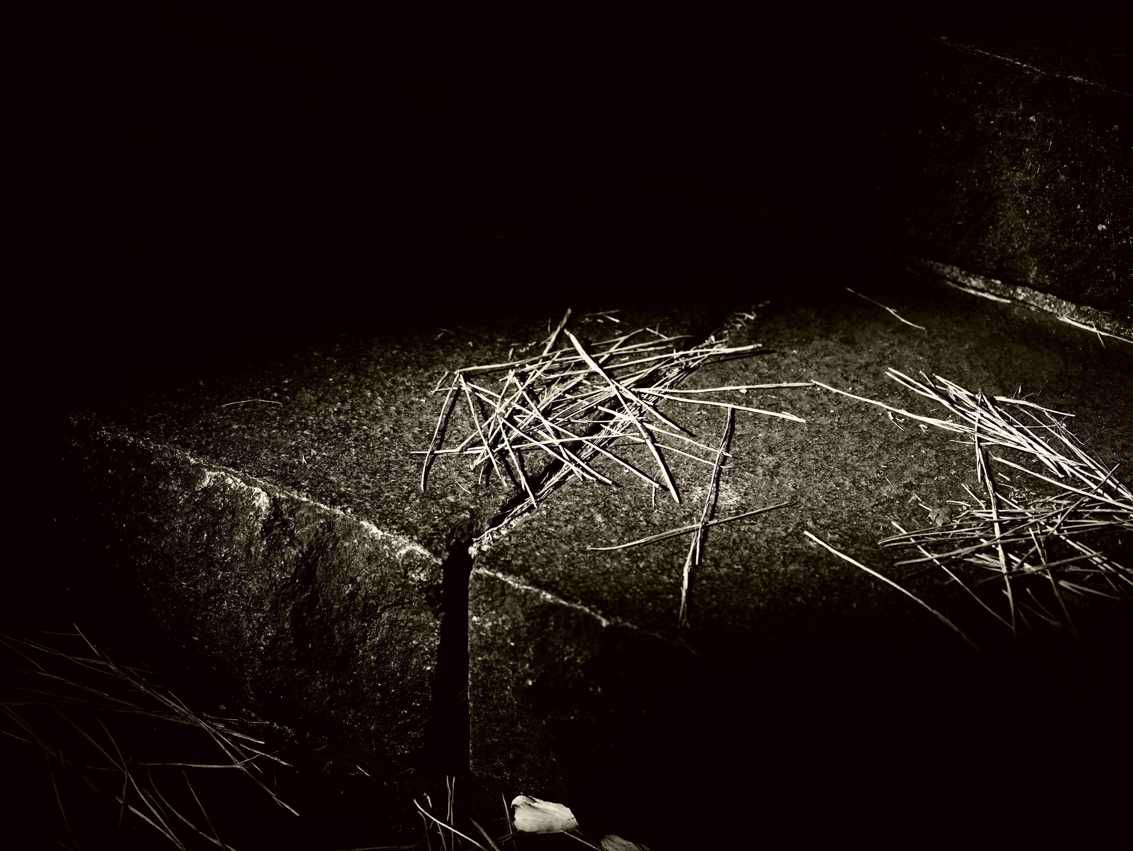 Dry grass scattered on a concrete step in a dark setting