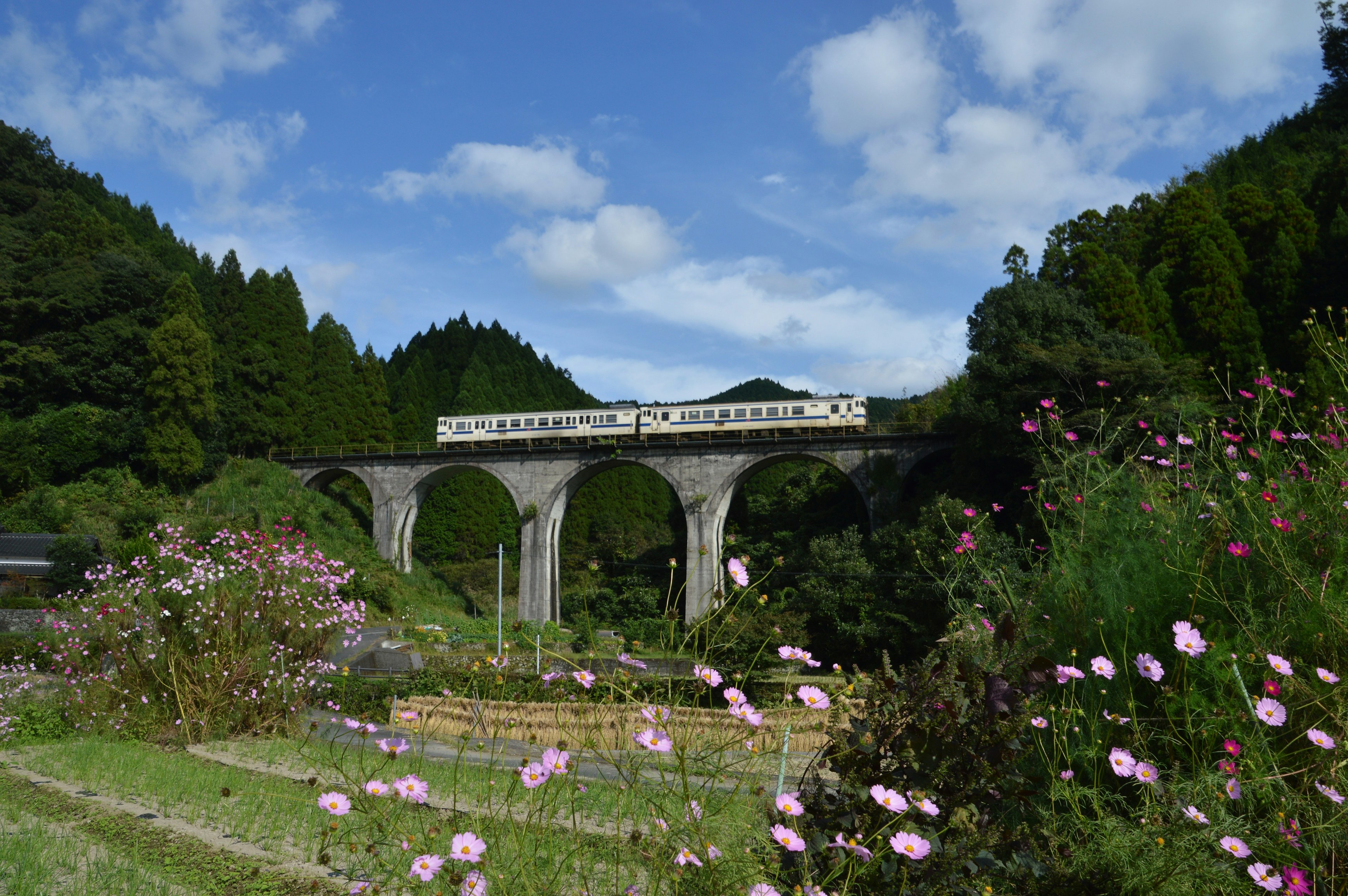 Un puente ferroviario pintoresco rodeado de montañas verdes y un jardín de flores