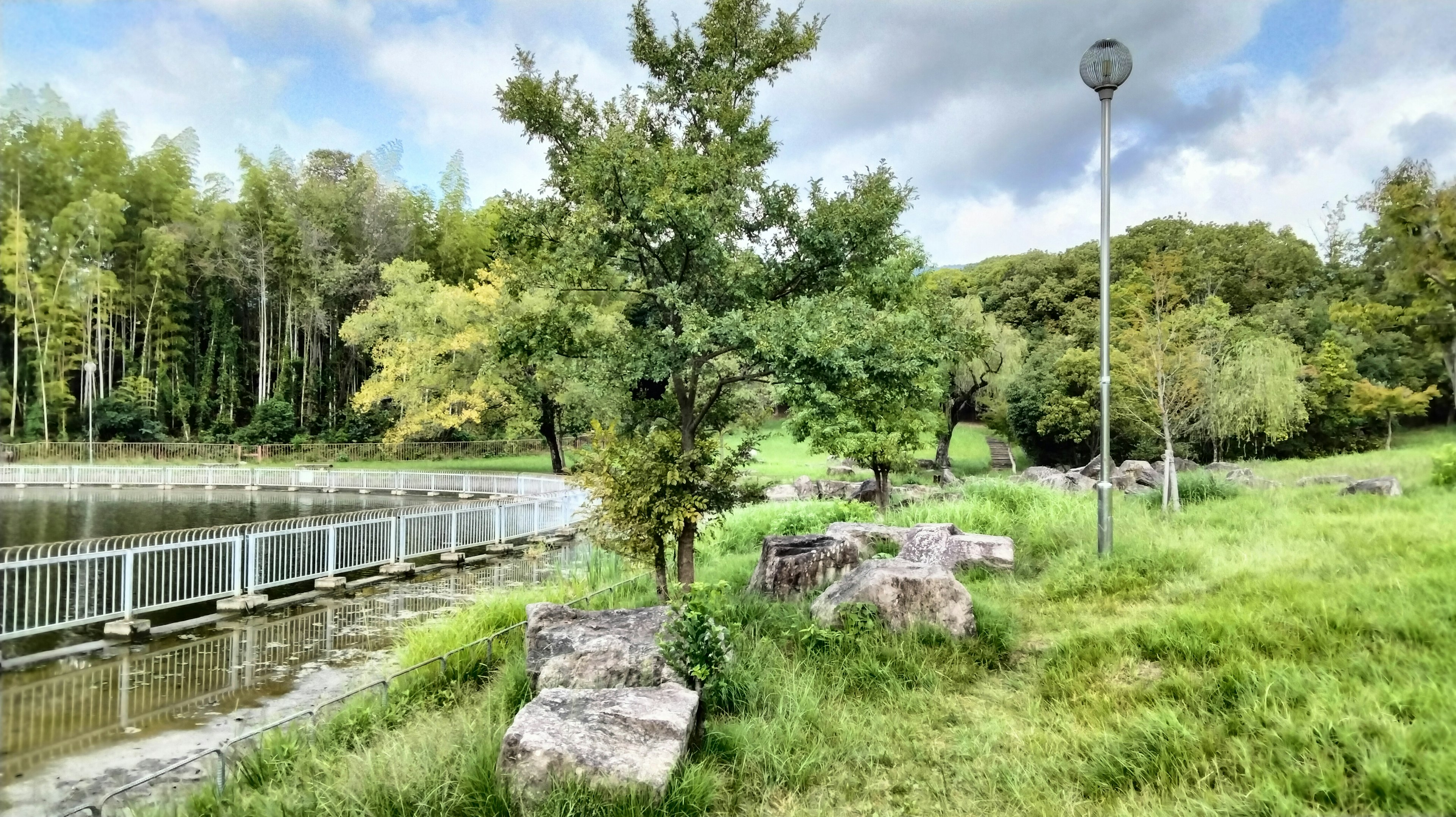 公園景觀有綠色草坪樹木一個帶橋的池塘和散落的石頭