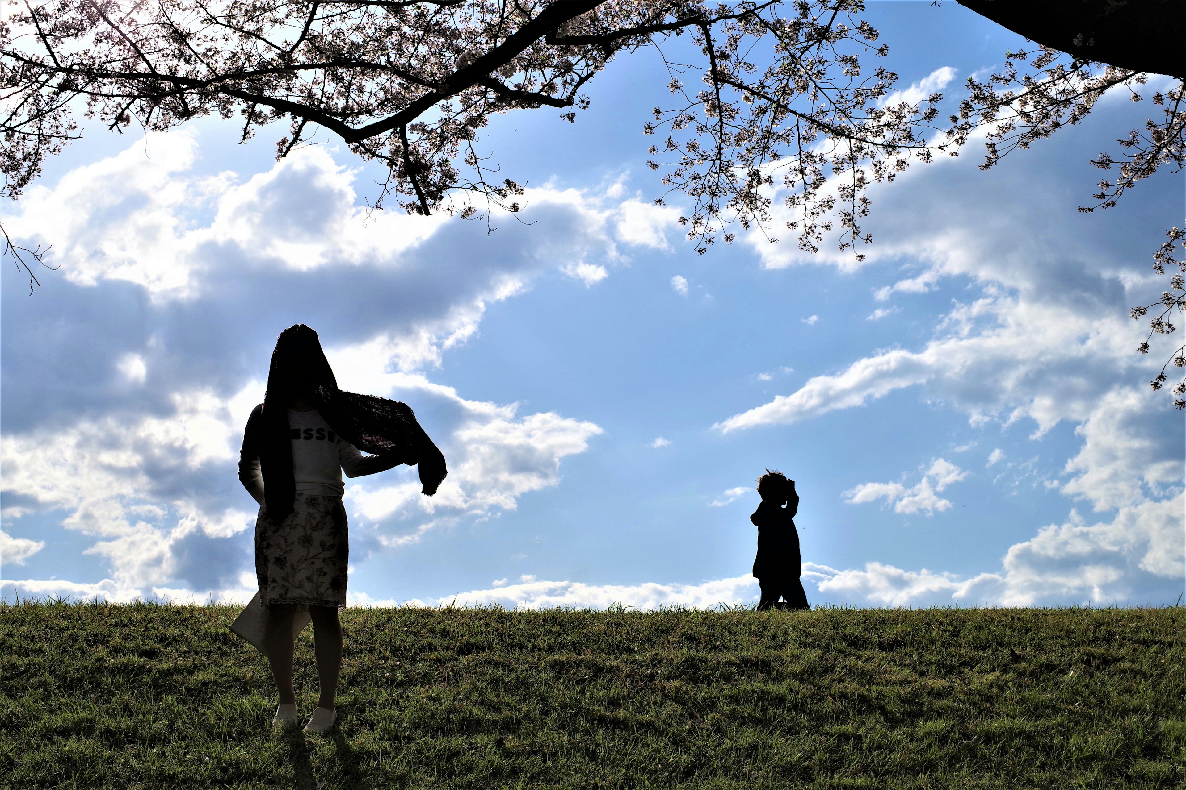 青空の下でシルエットの人々が歩く春の風景