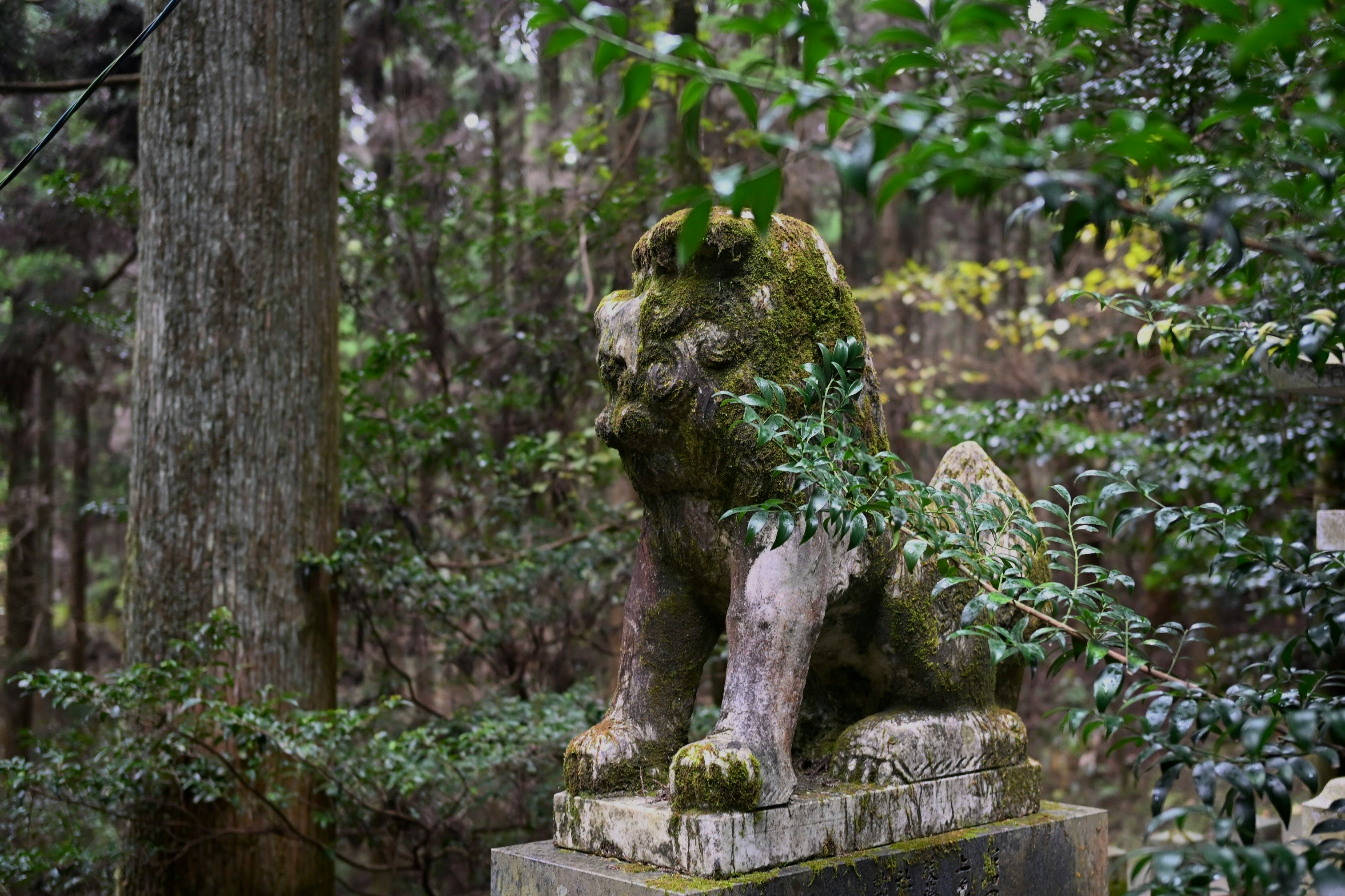 Moss-covered lion statue in a forest surrounded by green foliage